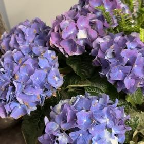 Tupot amaroot
