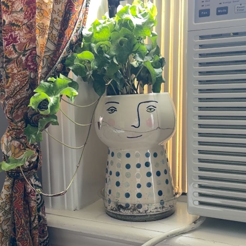 Photo of the plant species Curly Ivy by @ThrilledOlneya3 named Morgan Treeman on Greg, the plant care app