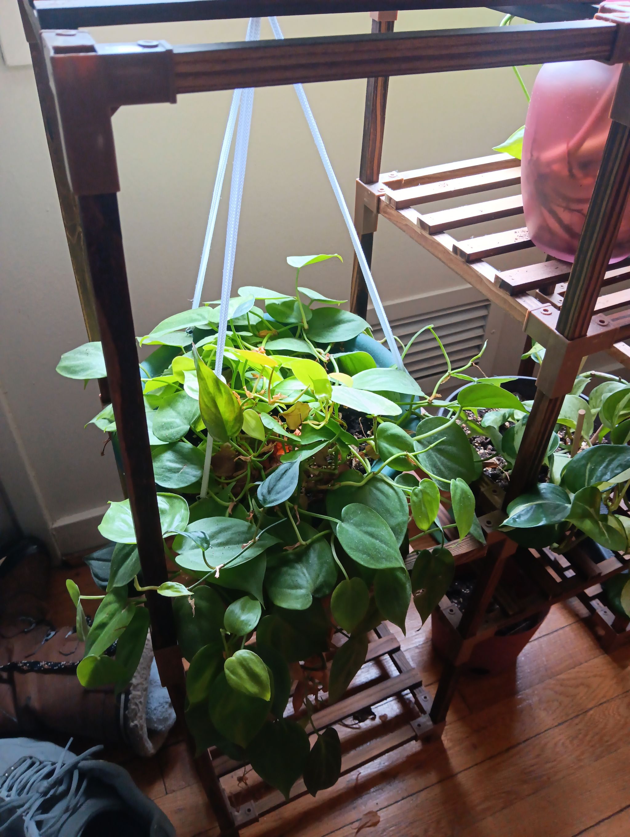 Photo from the post