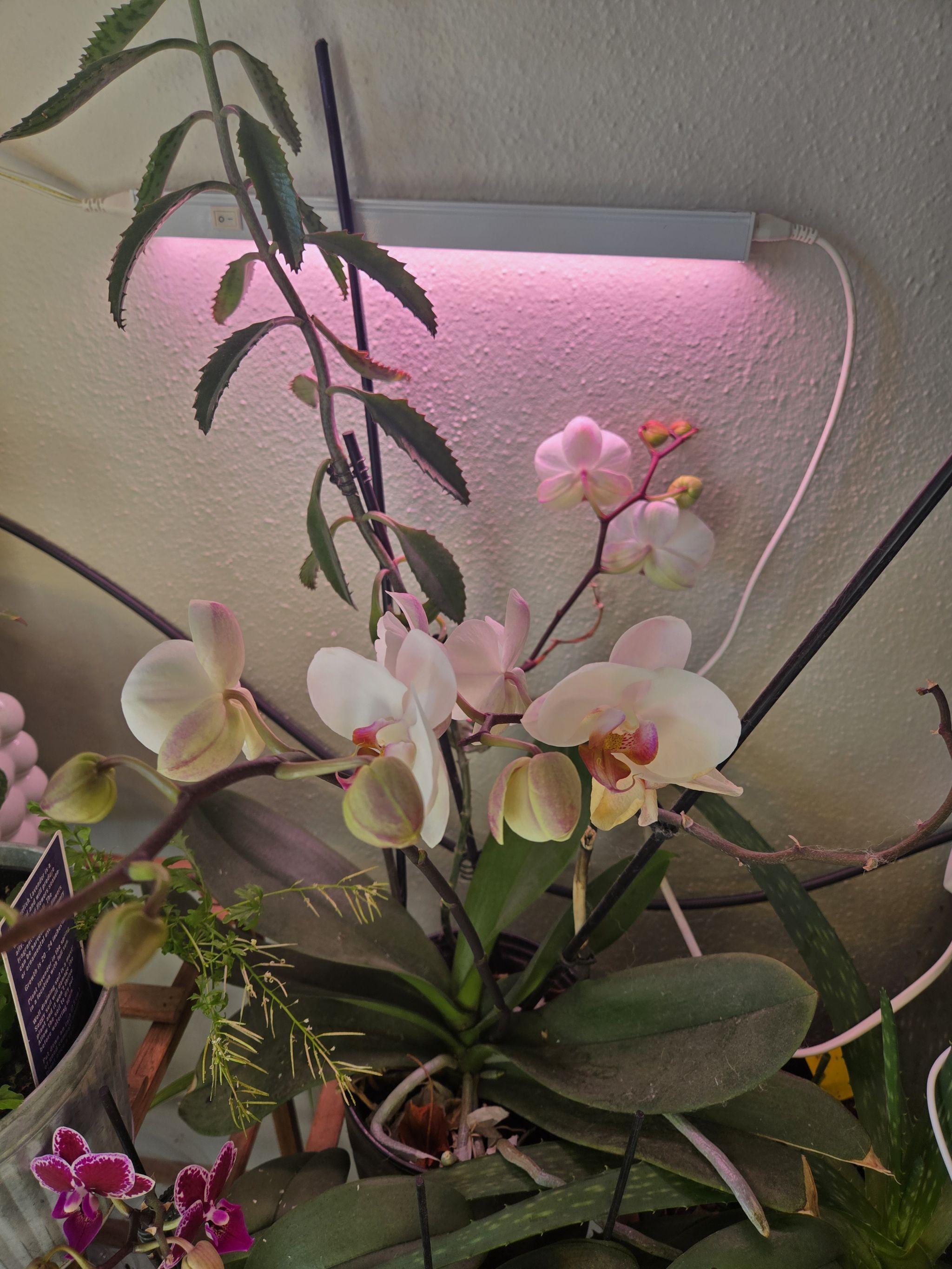 Photo from the post