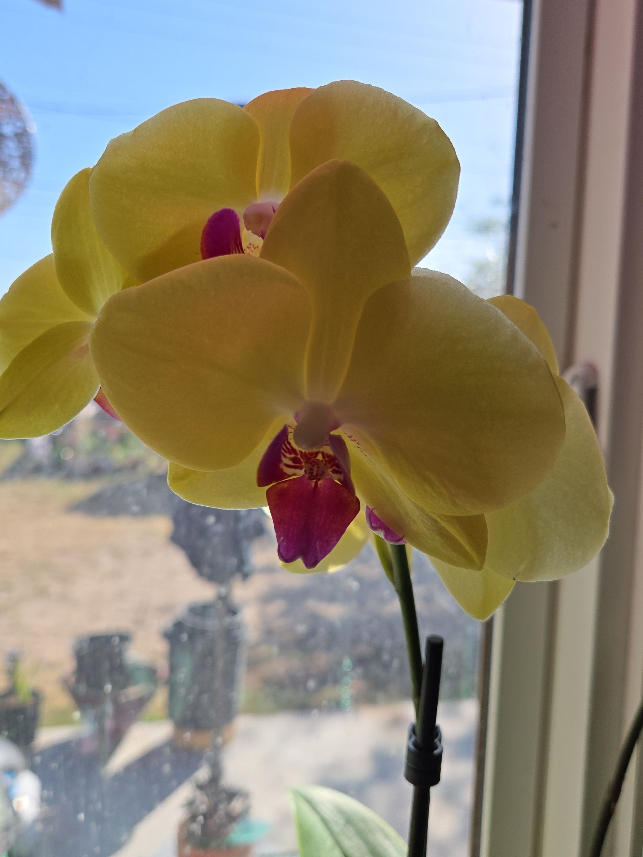 Photo from the post