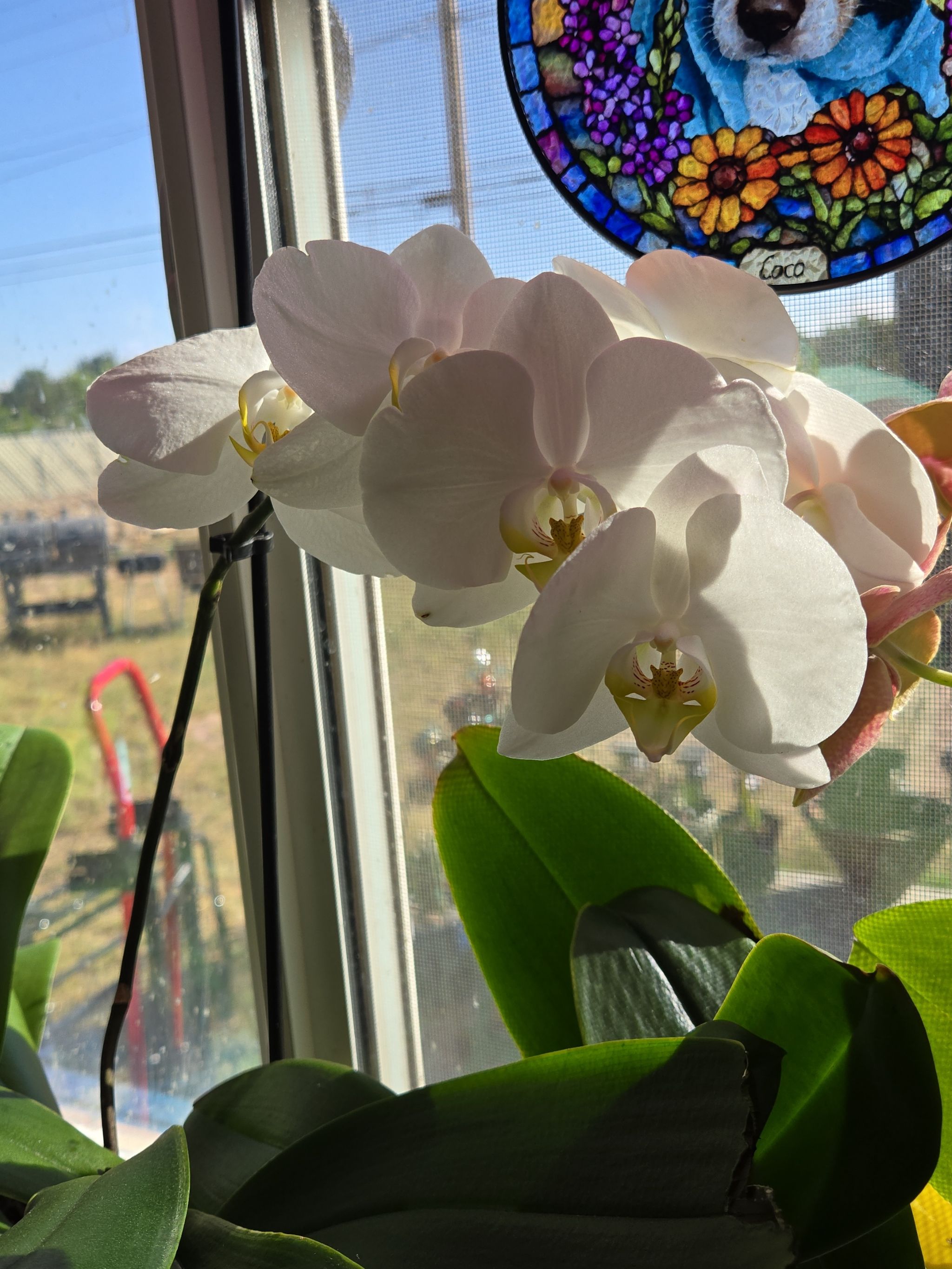 Photo from the post