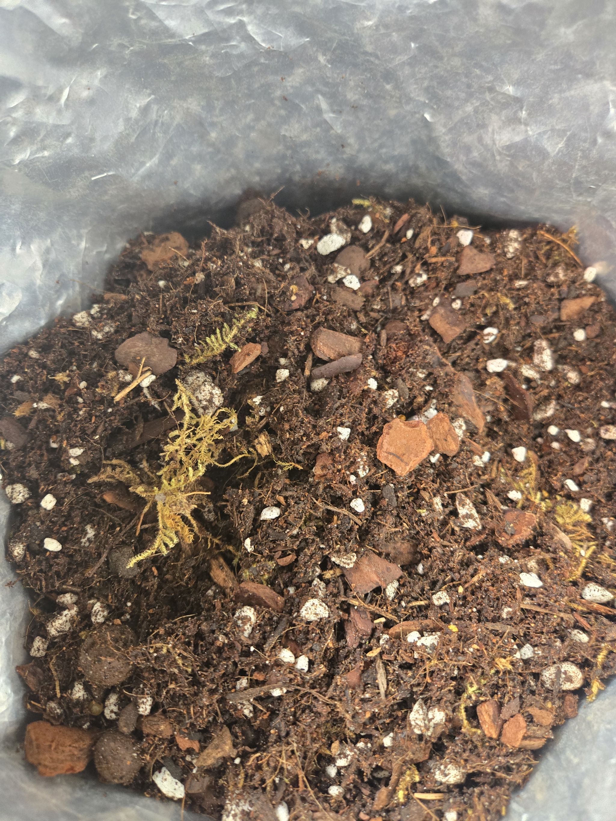 Photo from the post