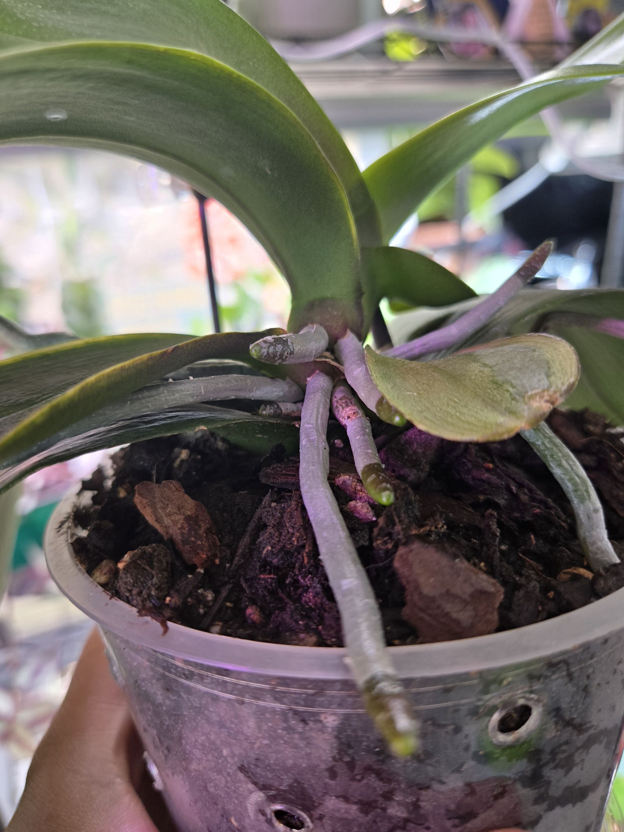 Photo from the post