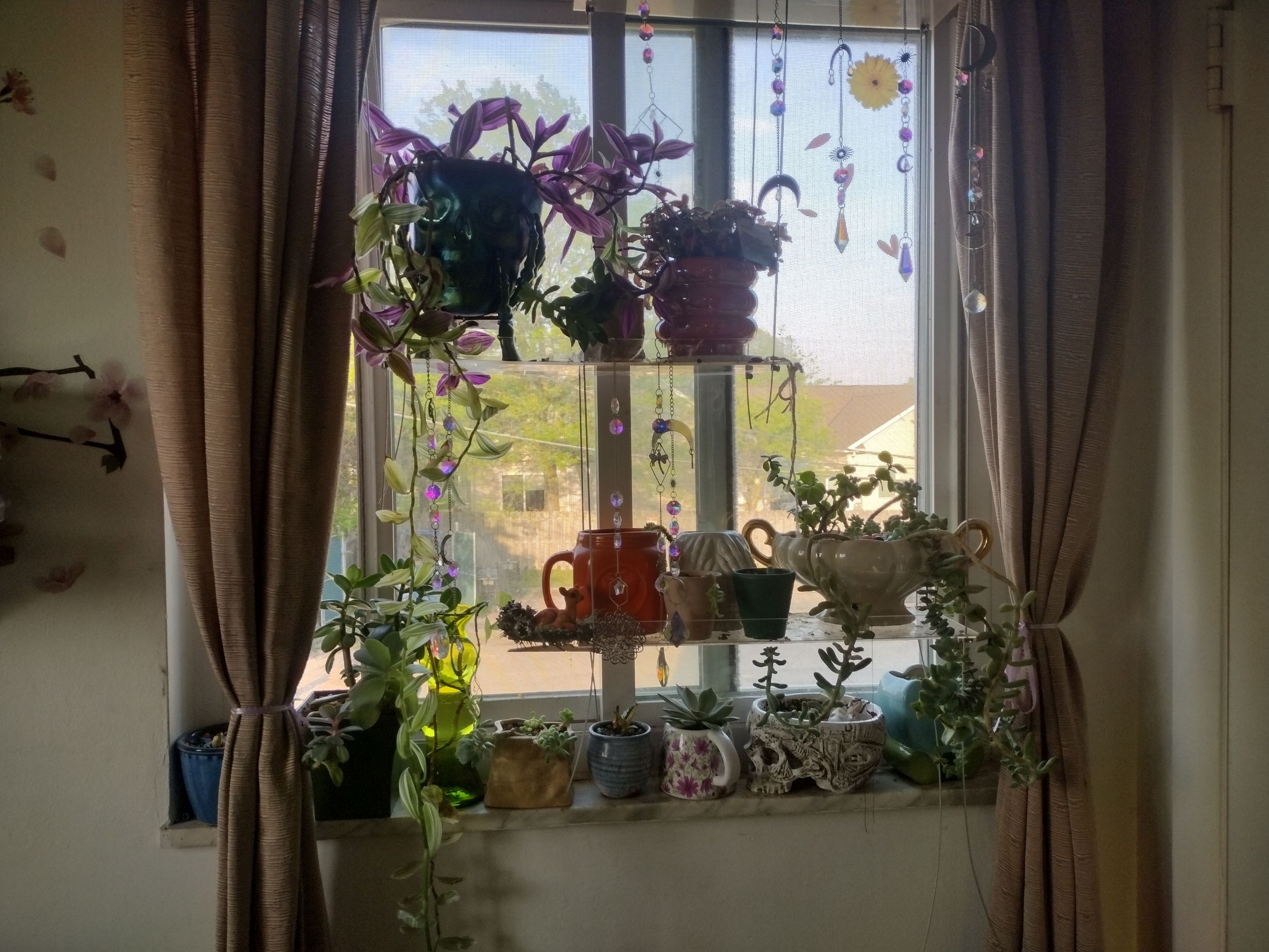 Photo from the post