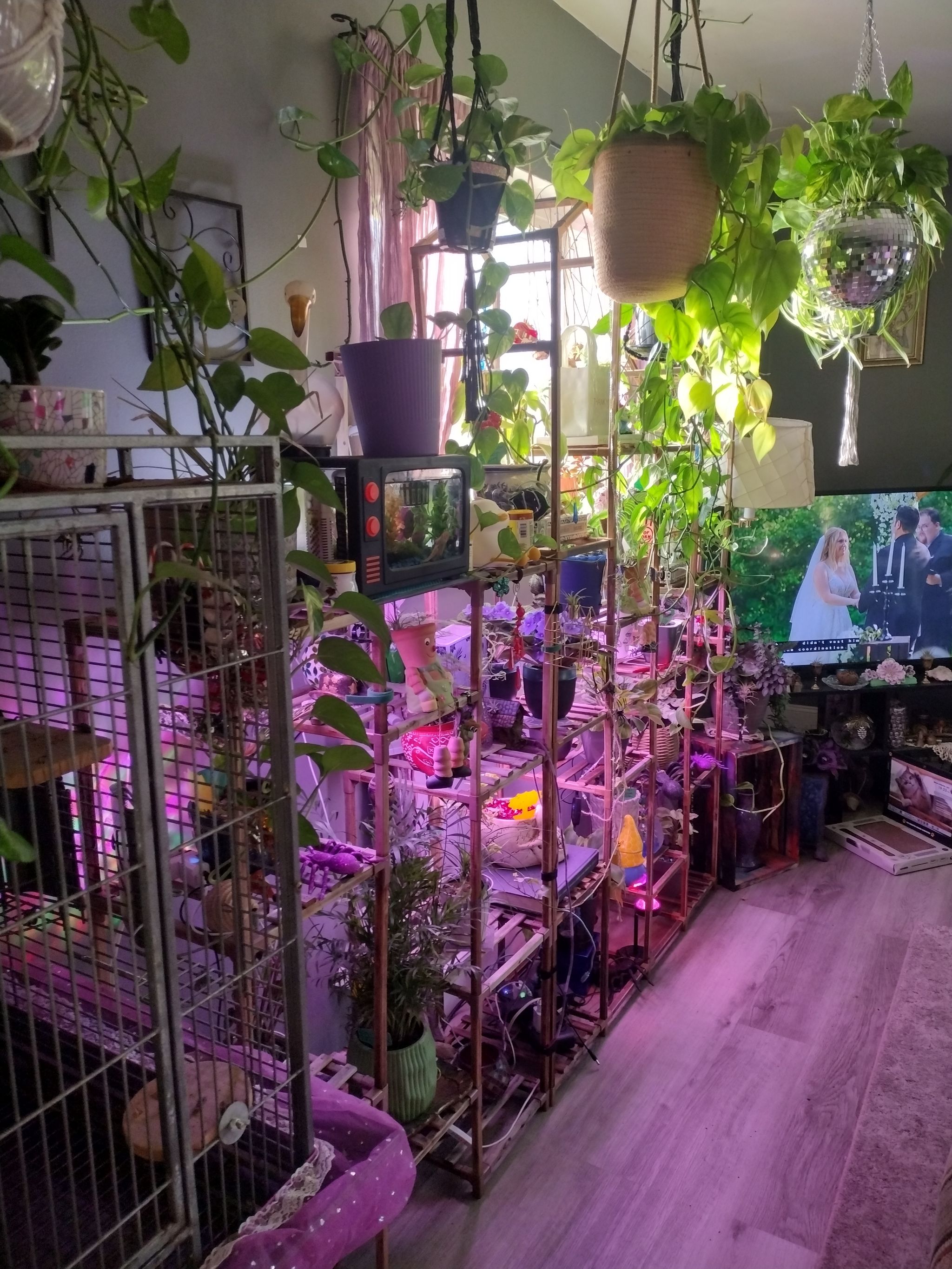 Photo from the post