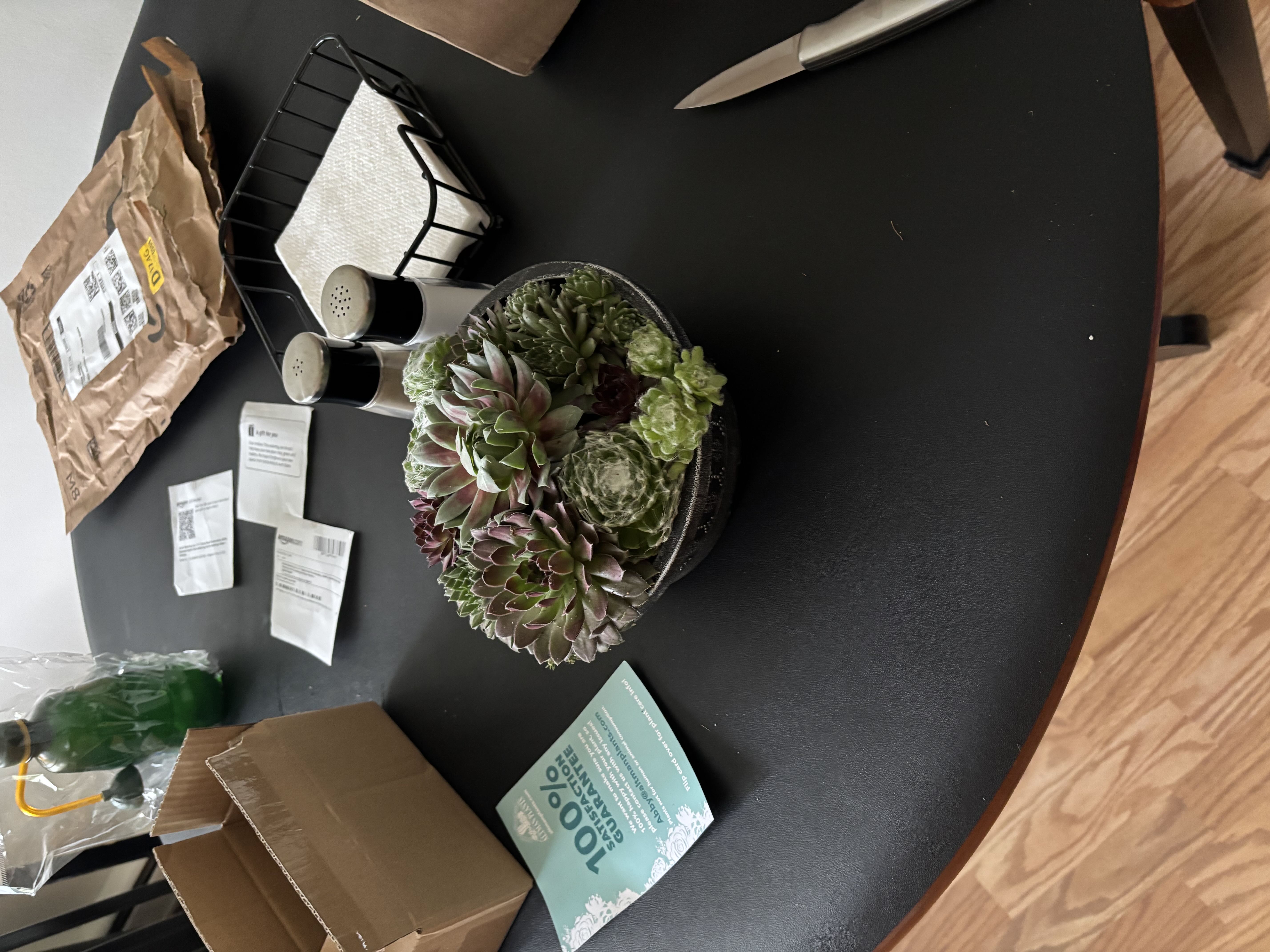Photo from the post