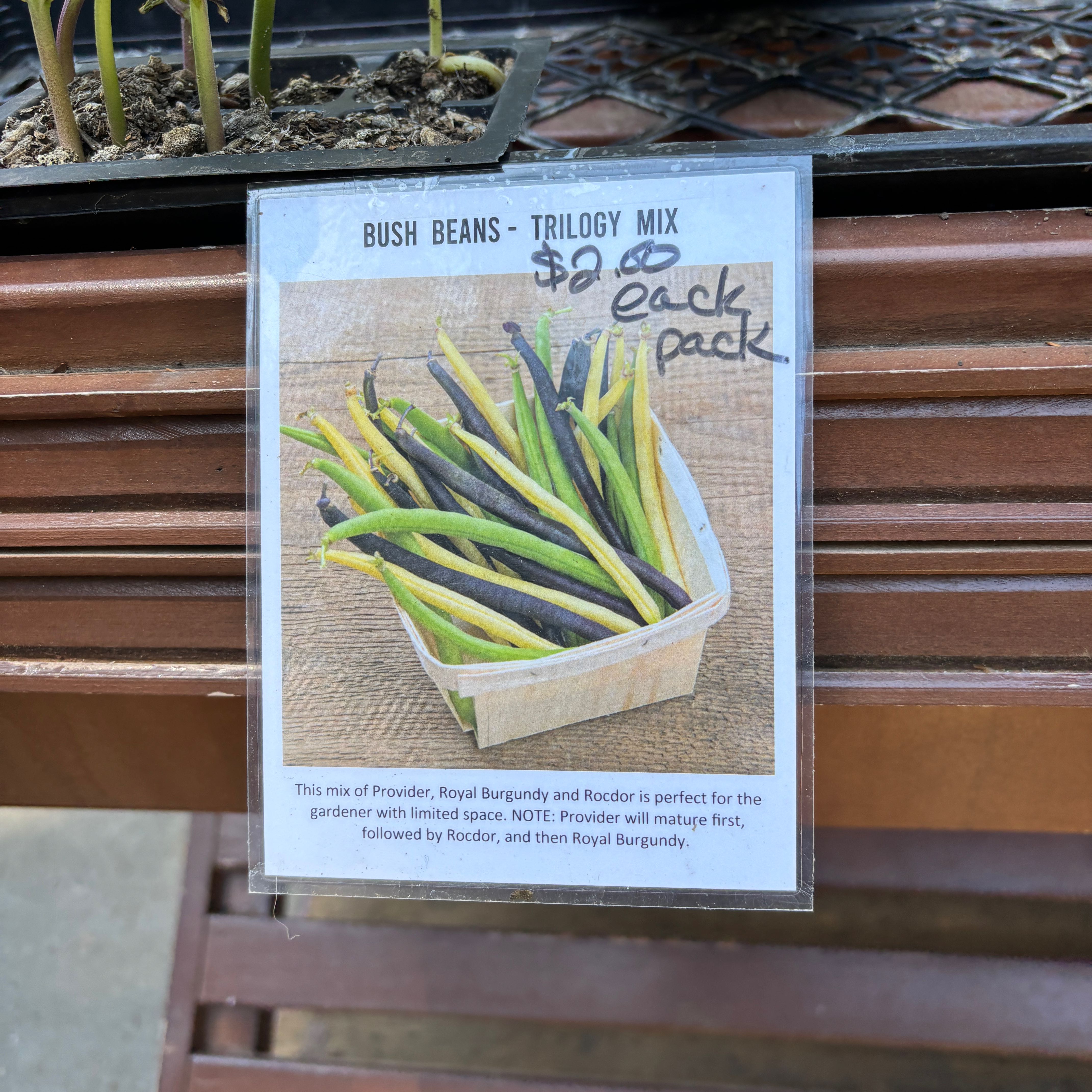 Photo of the plant species Trio Bush Bean by @GnarlyLemon named Robert Plant on Greg, the plant care app