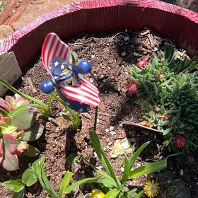 Photo of the plant species Yellow Clintonia by @WelsomeAlmond59 named Bieber on Greg, the plant care app