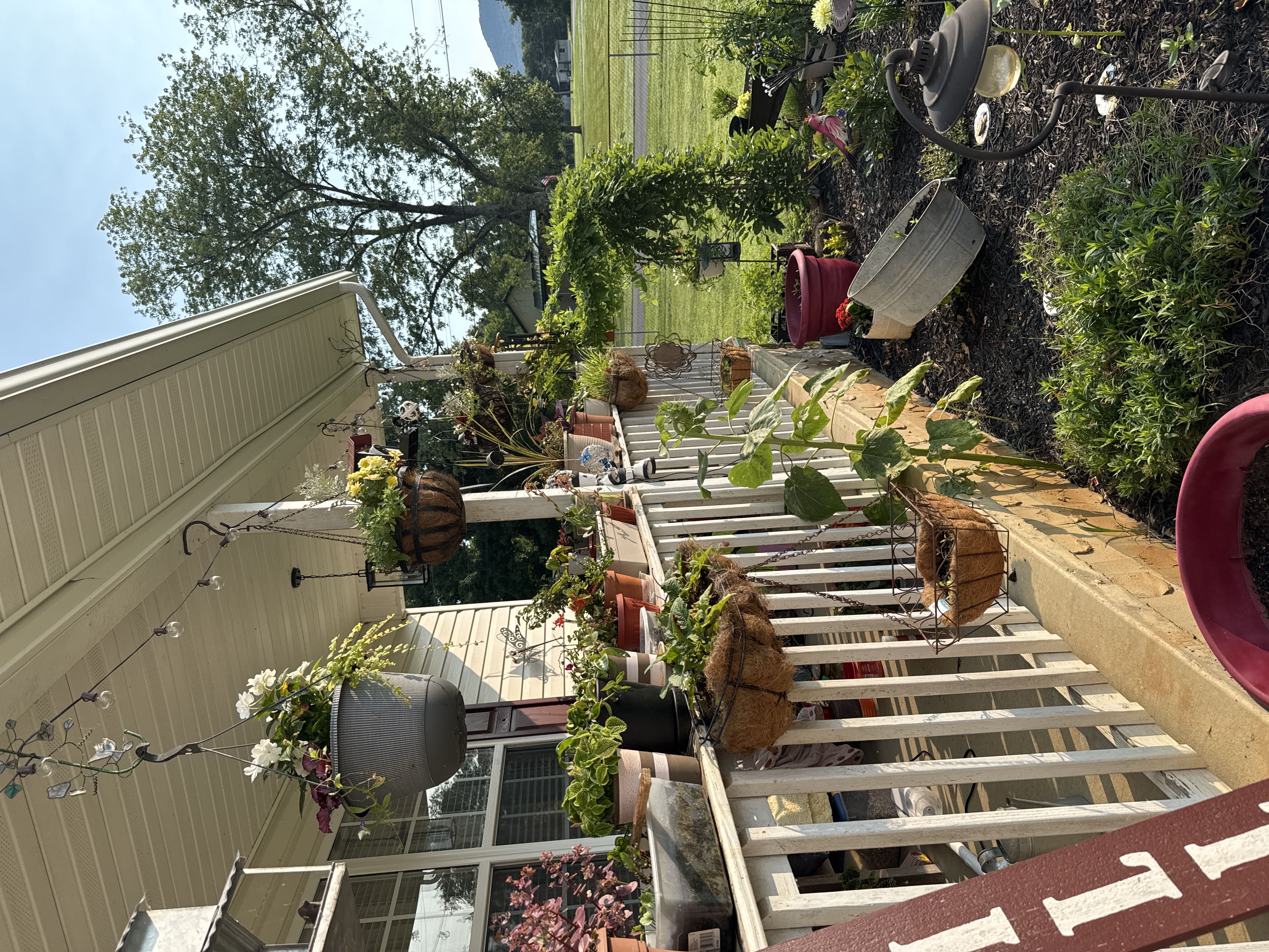 Photo from the post