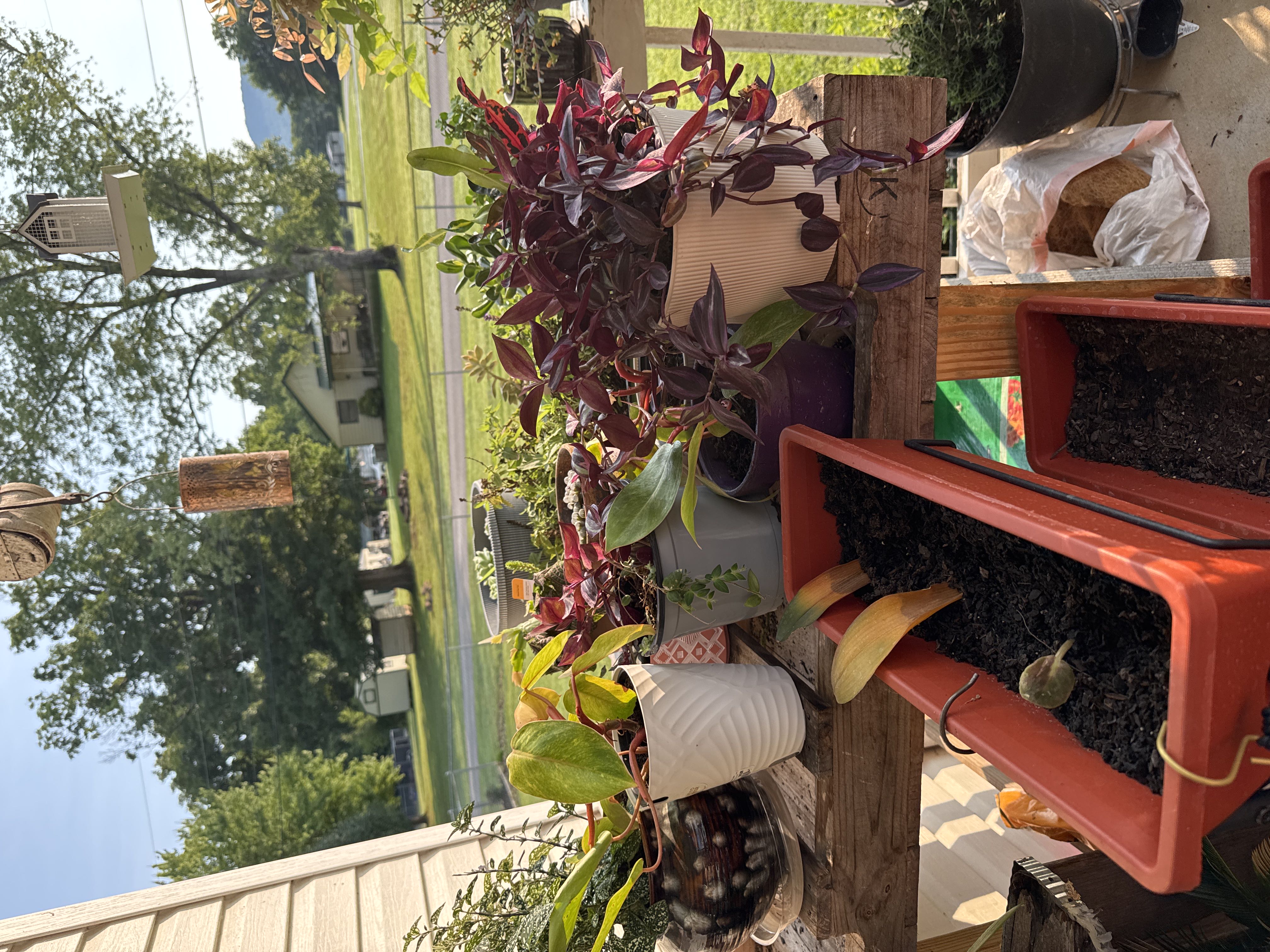 Photo from the post