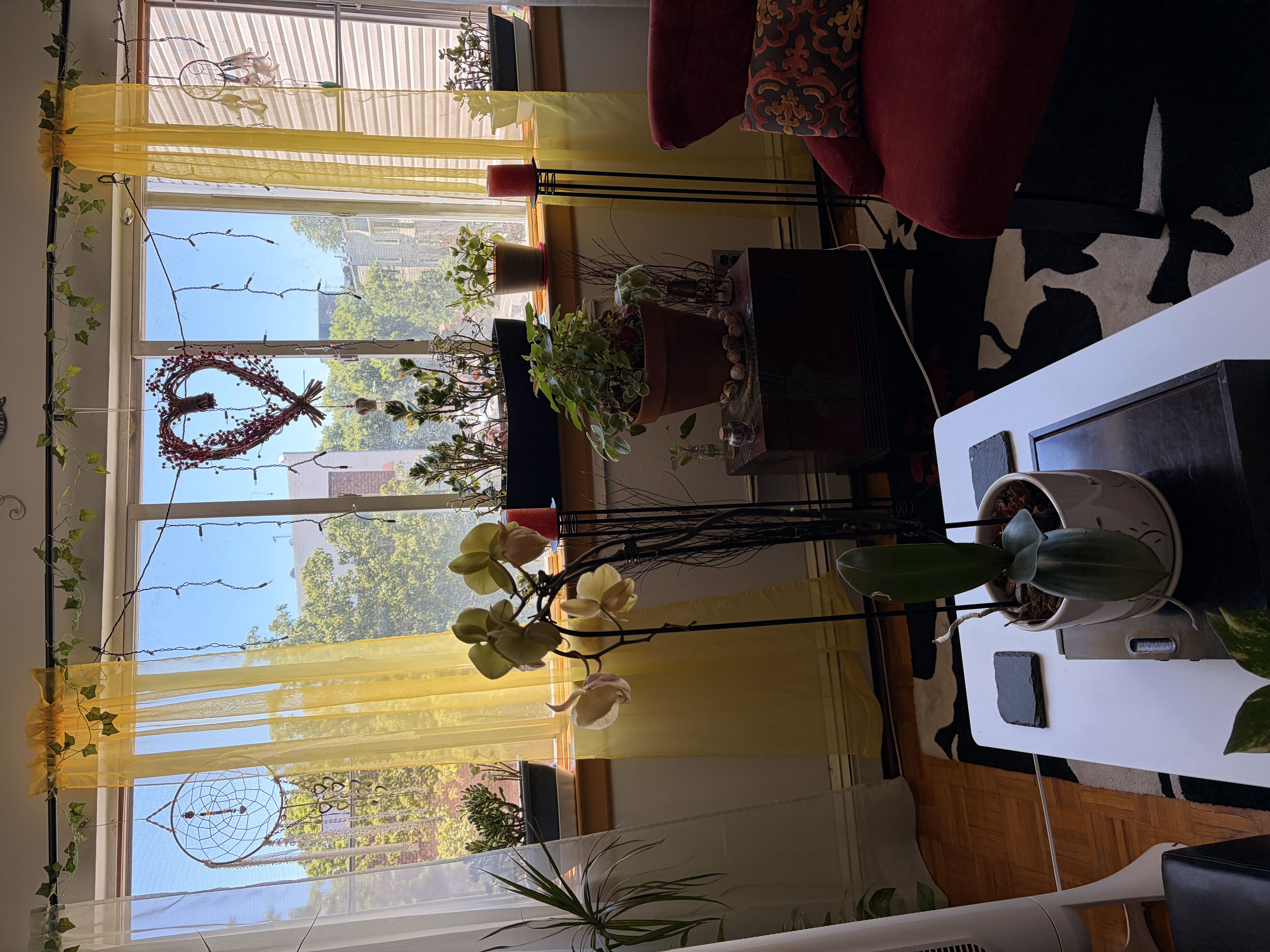 Photo from the post