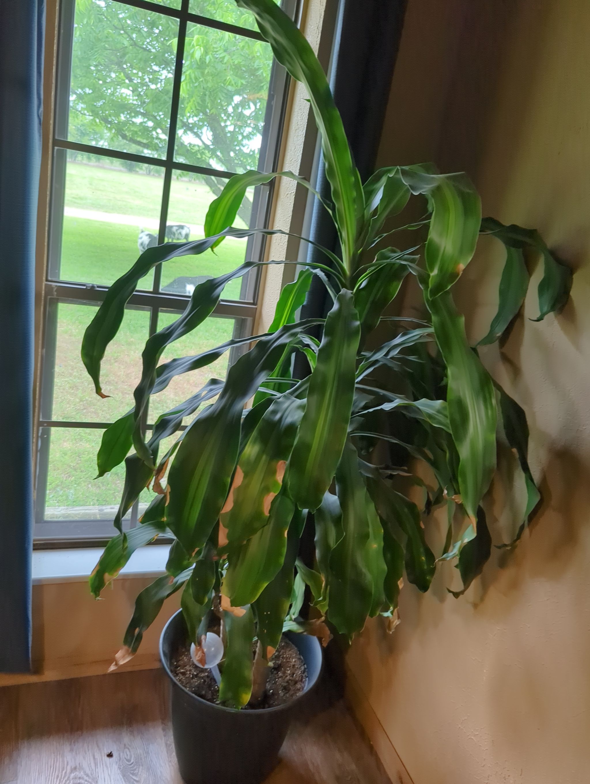 Photo from the post