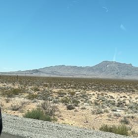 Photo of the plant species Mohave Yucca by @VipKale0 named Gobi on Greg, the plant care app