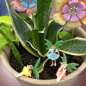 Photo of the plant species Garden Tulip by @KindPigfern97 named Doja Cat on Greg, the plant care app