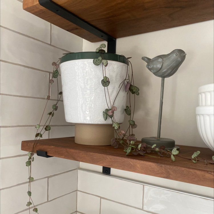 String of Hearts plant photo by @mconst named Joy on Greg, the plant care app.