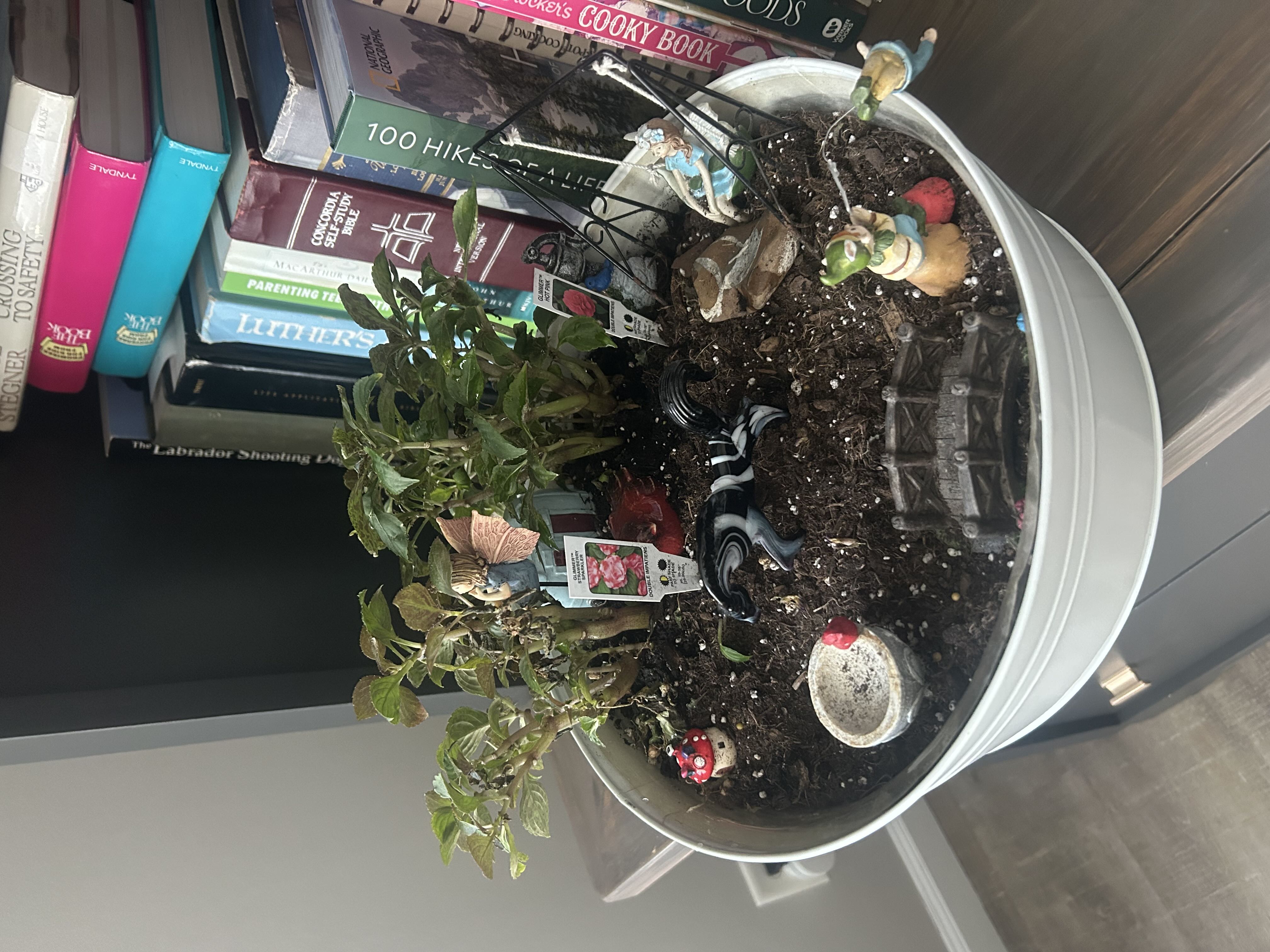 Photo from the post