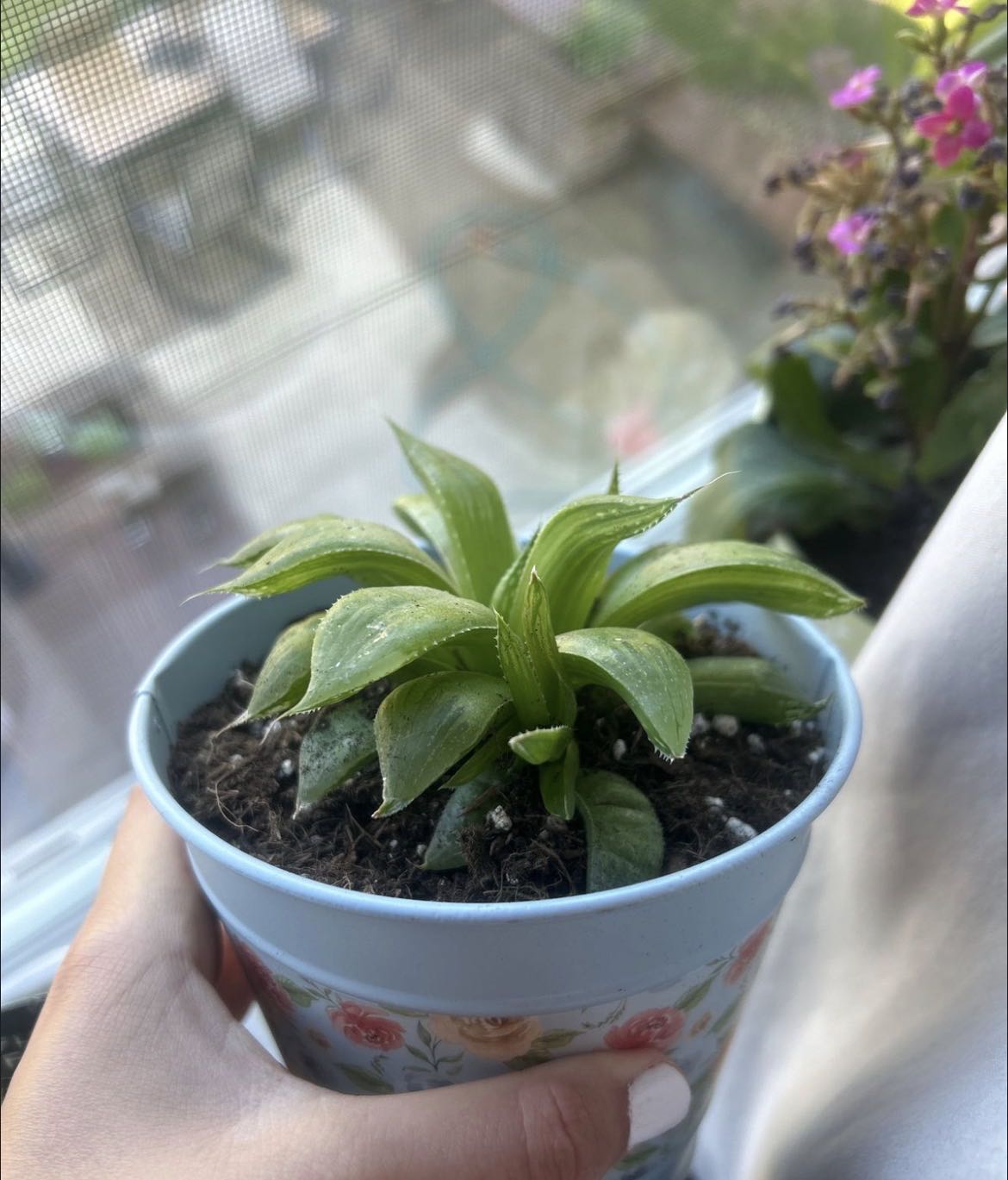 Photo from the post
