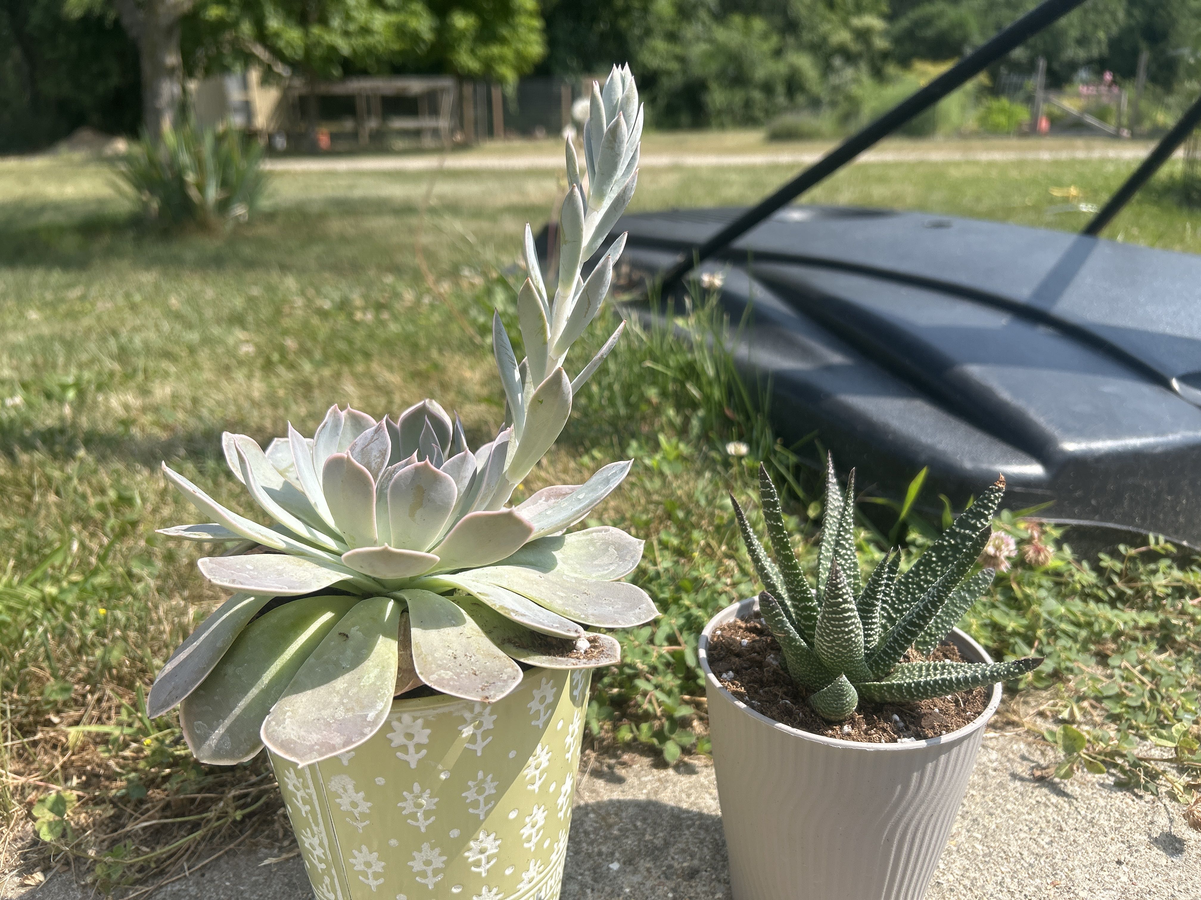 Photo from the post