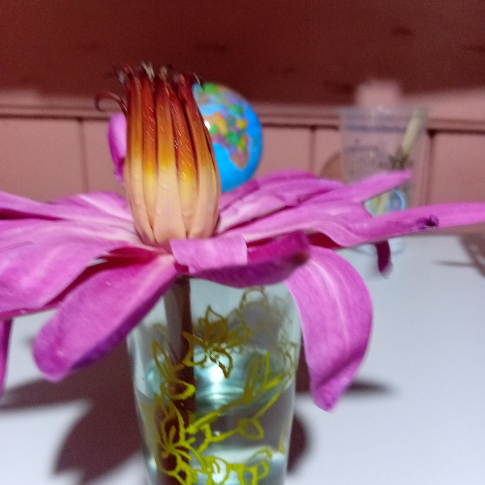 Photo of the plant species White Egyptian Lotus by @PureMint70 named Lakshmi on Greg, the plant care app