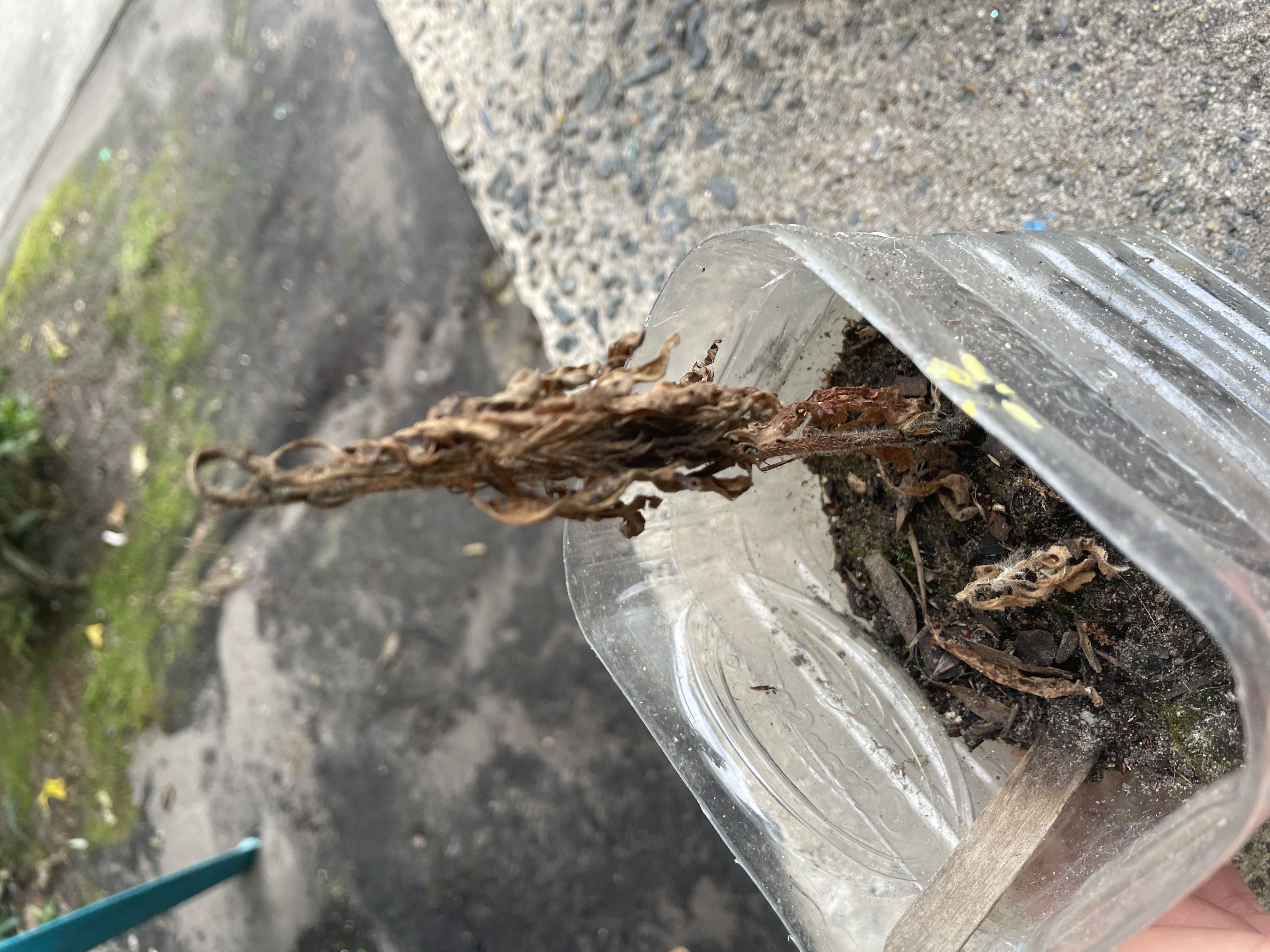 Photo from the post