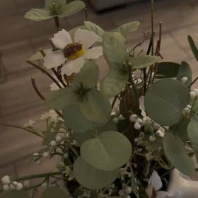 Photo of the plant species Golden Shower Tree by @GaietyFlax71 named Hamilton on Greg, the plant care app