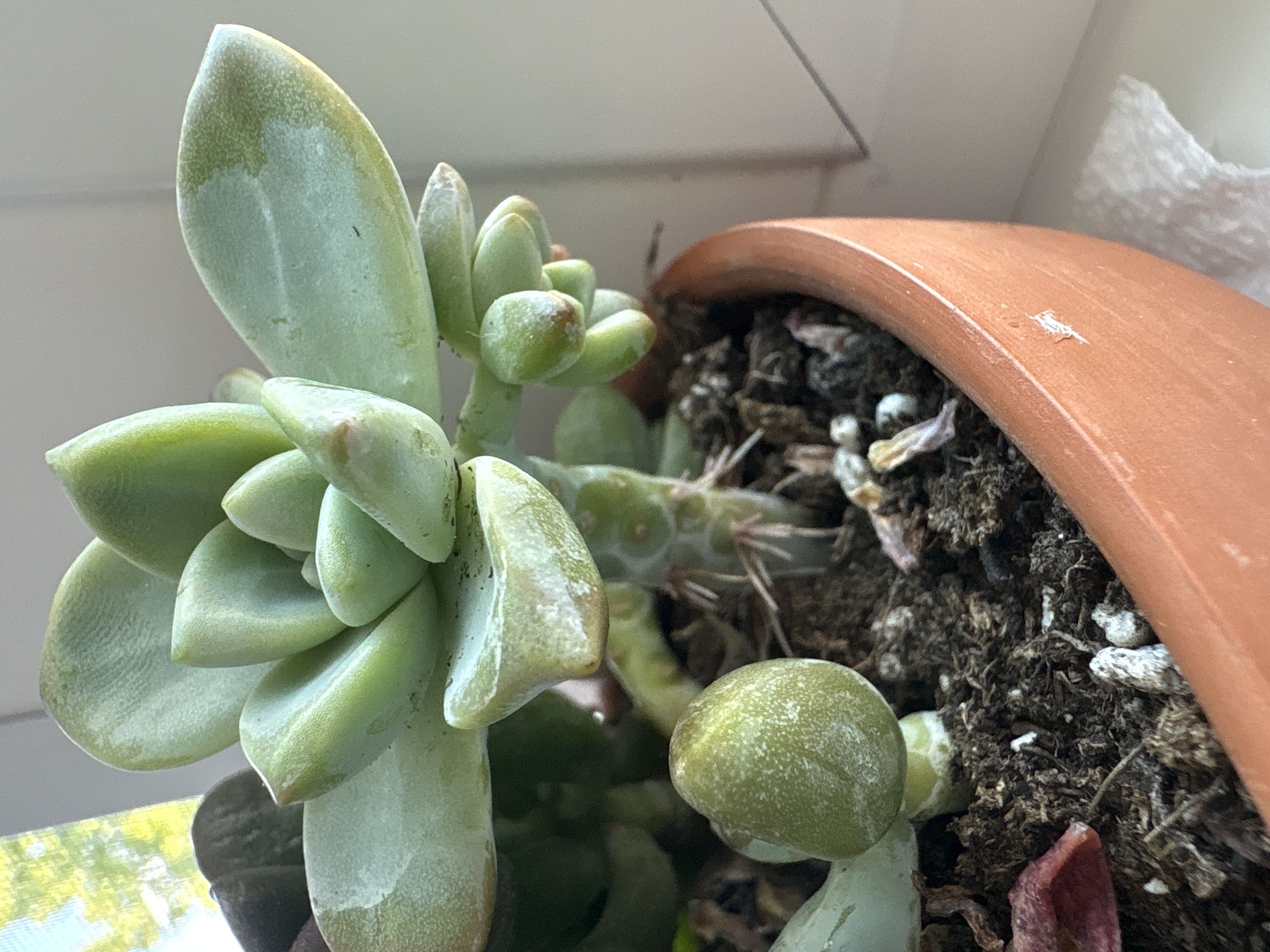 Photo from the post