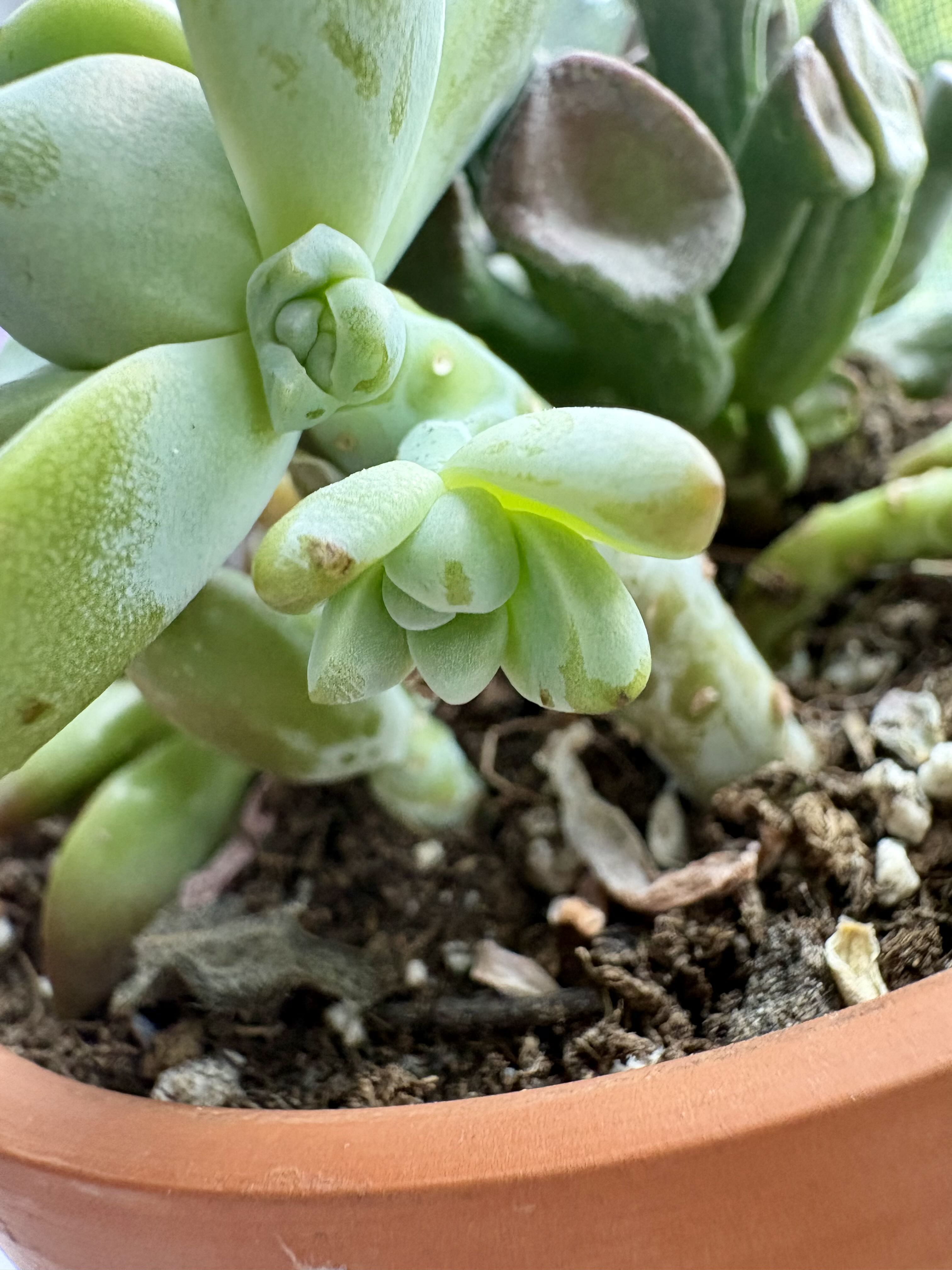 Photo from the post