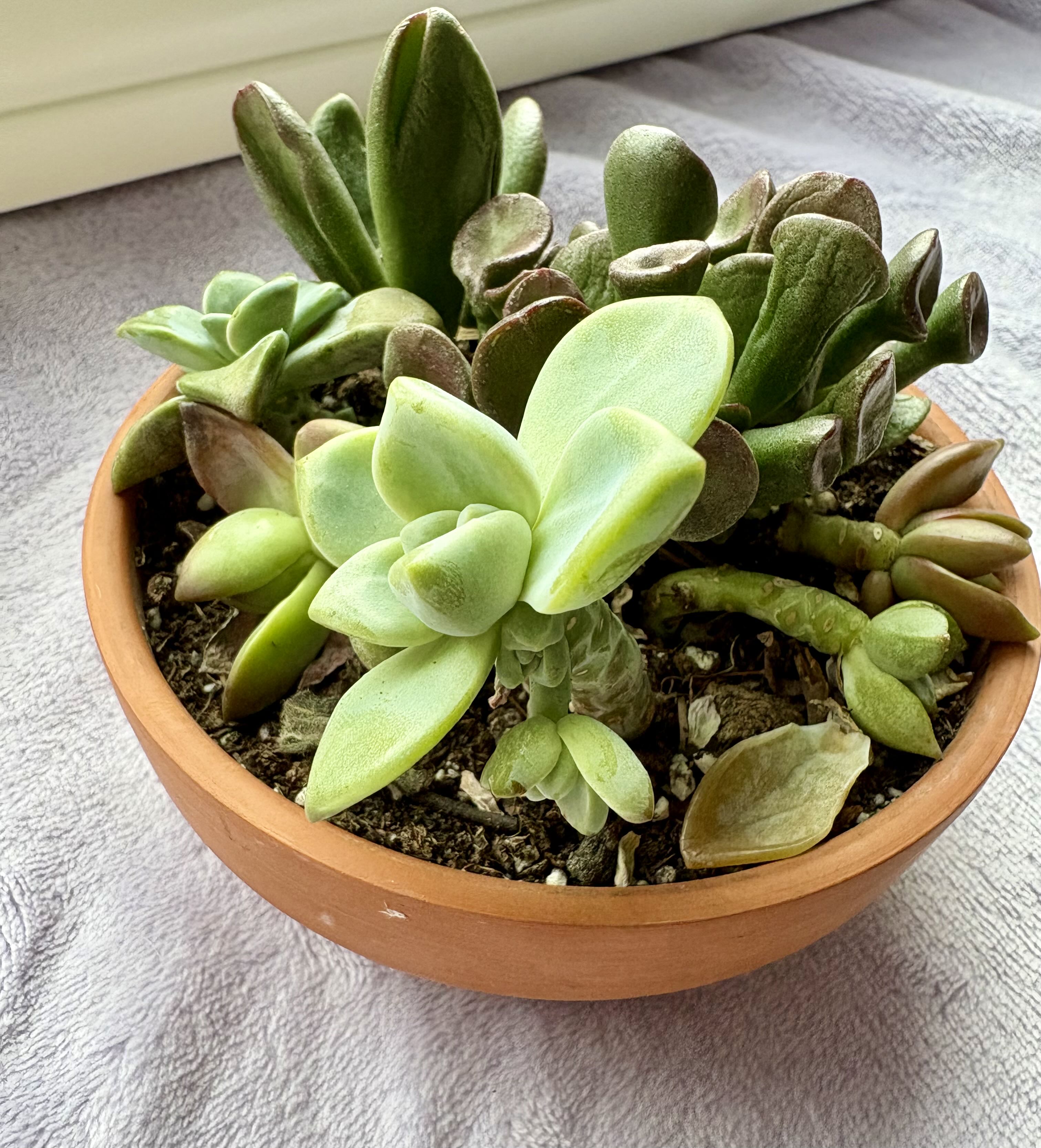 Photo from the post