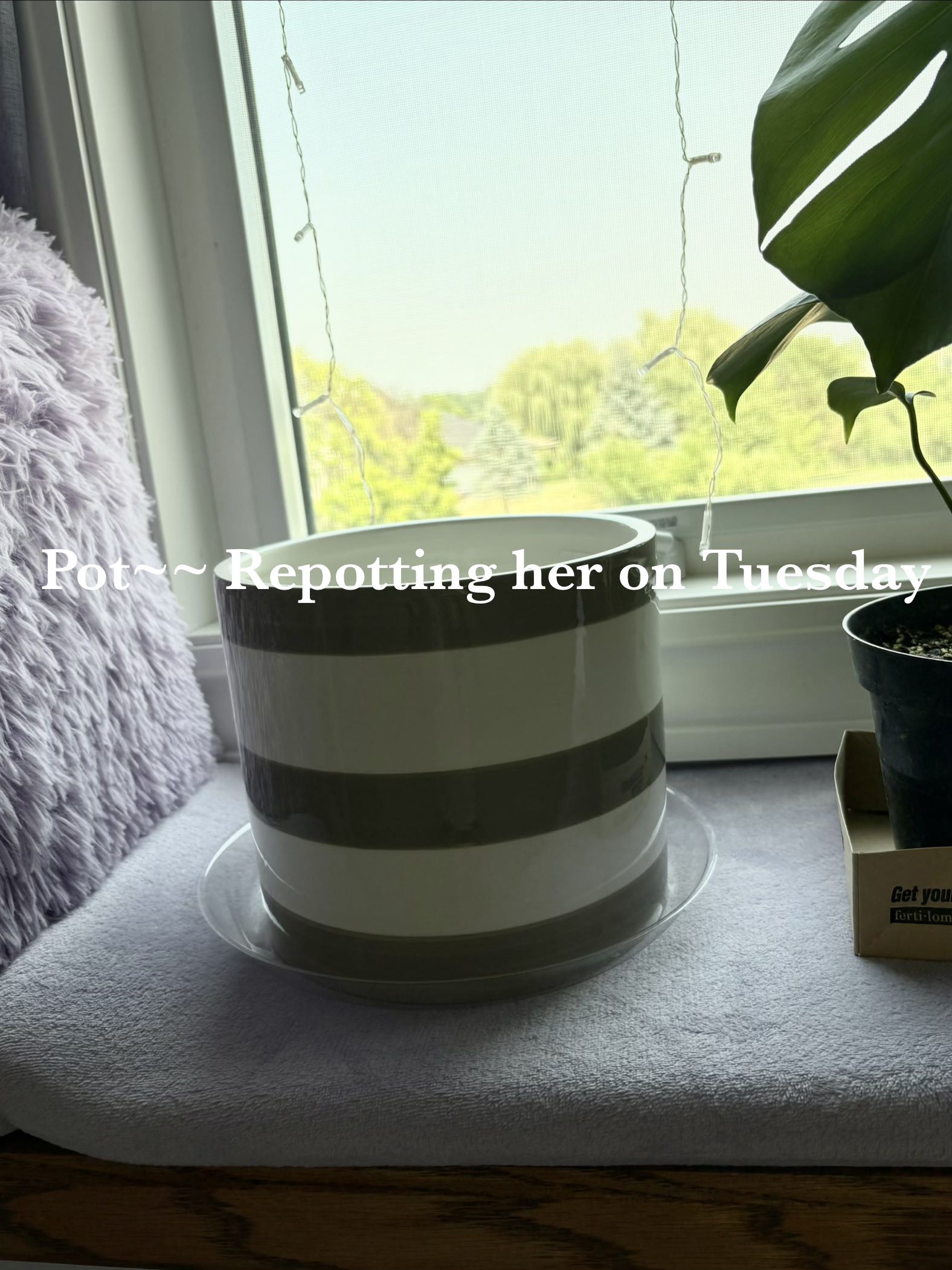 Photo from the post