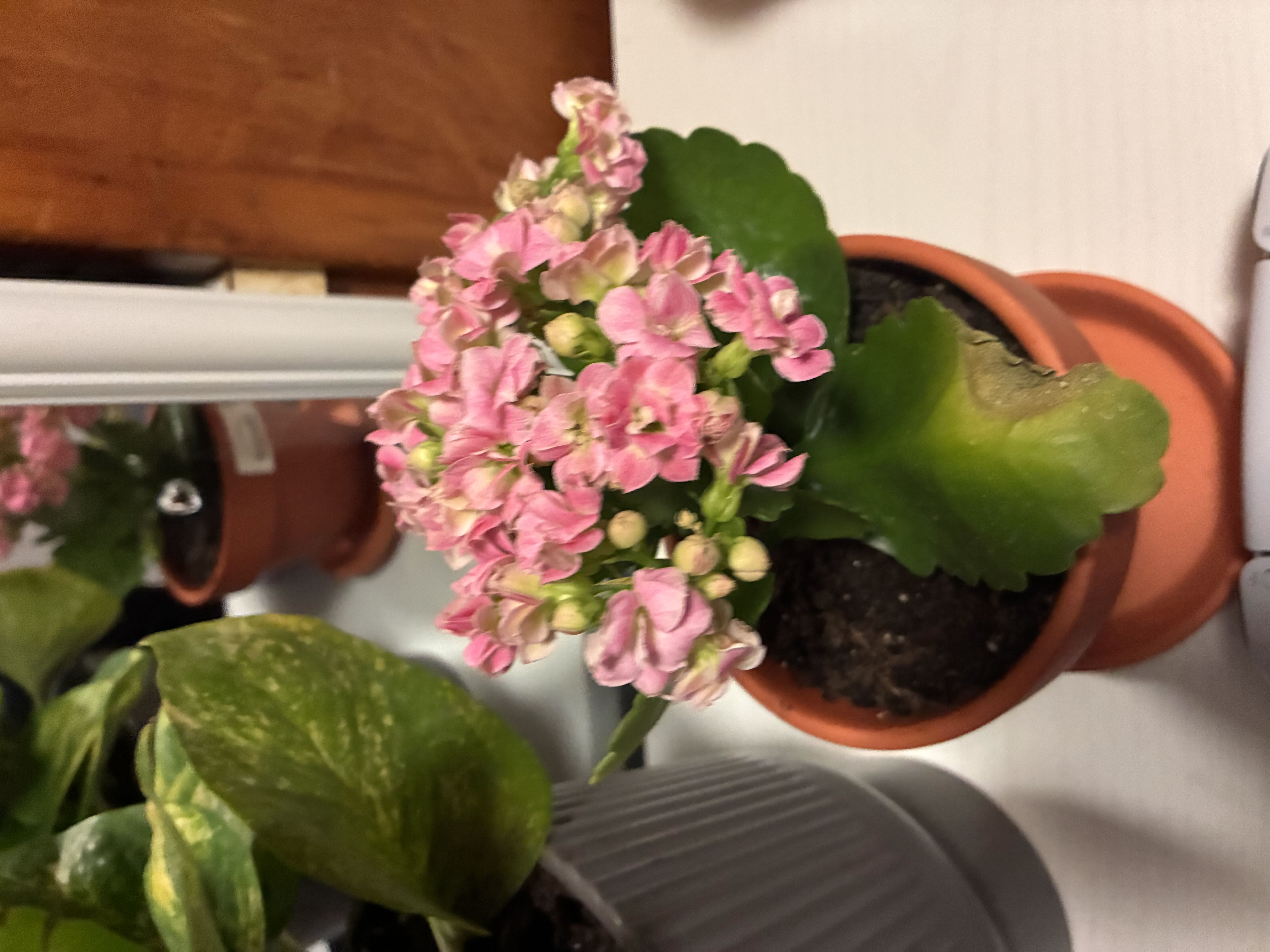 Photo from the post