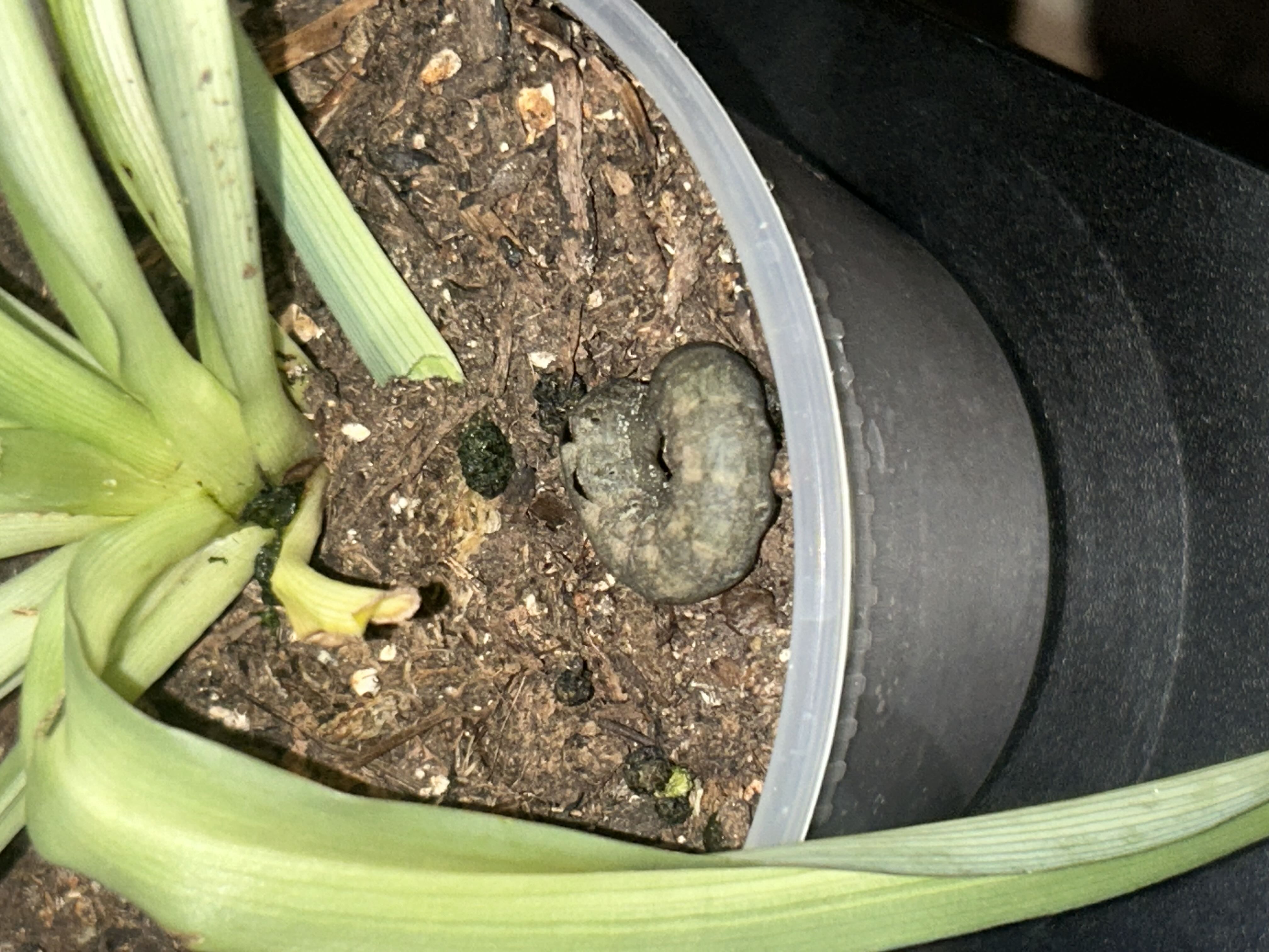 Photo from the post