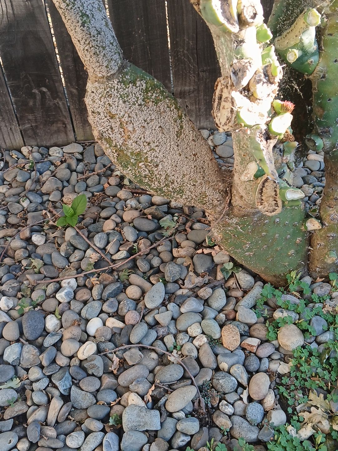 Photo from the post