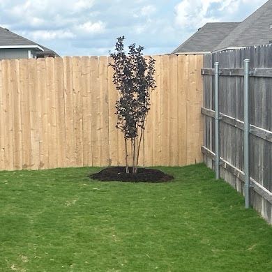 Photo of the plant species Thunderstruck Lavender Blast Crape Myrtle Tree by @HipEncina41 named Leonardo on Greg, the plant care app