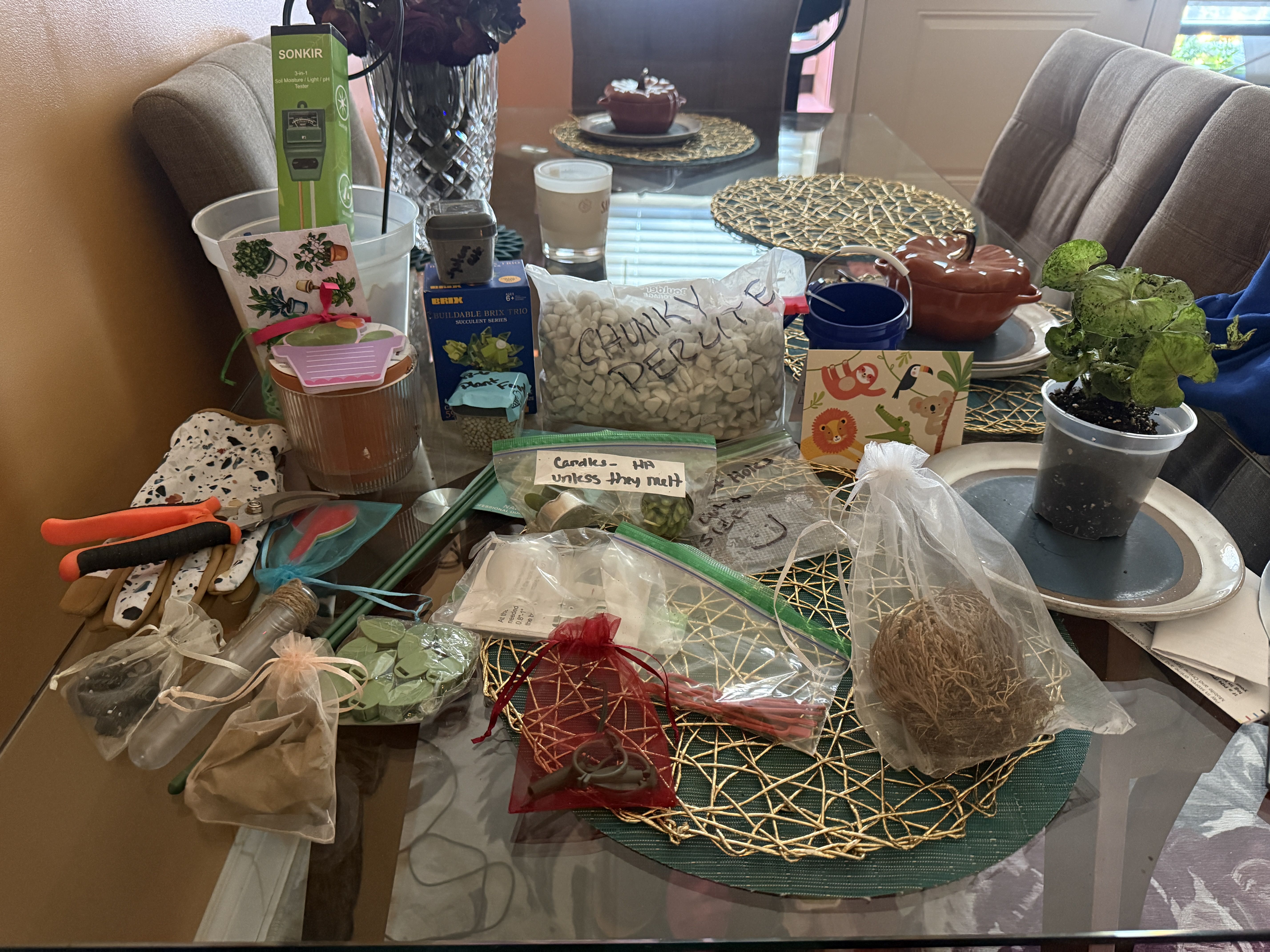 Photo from the post