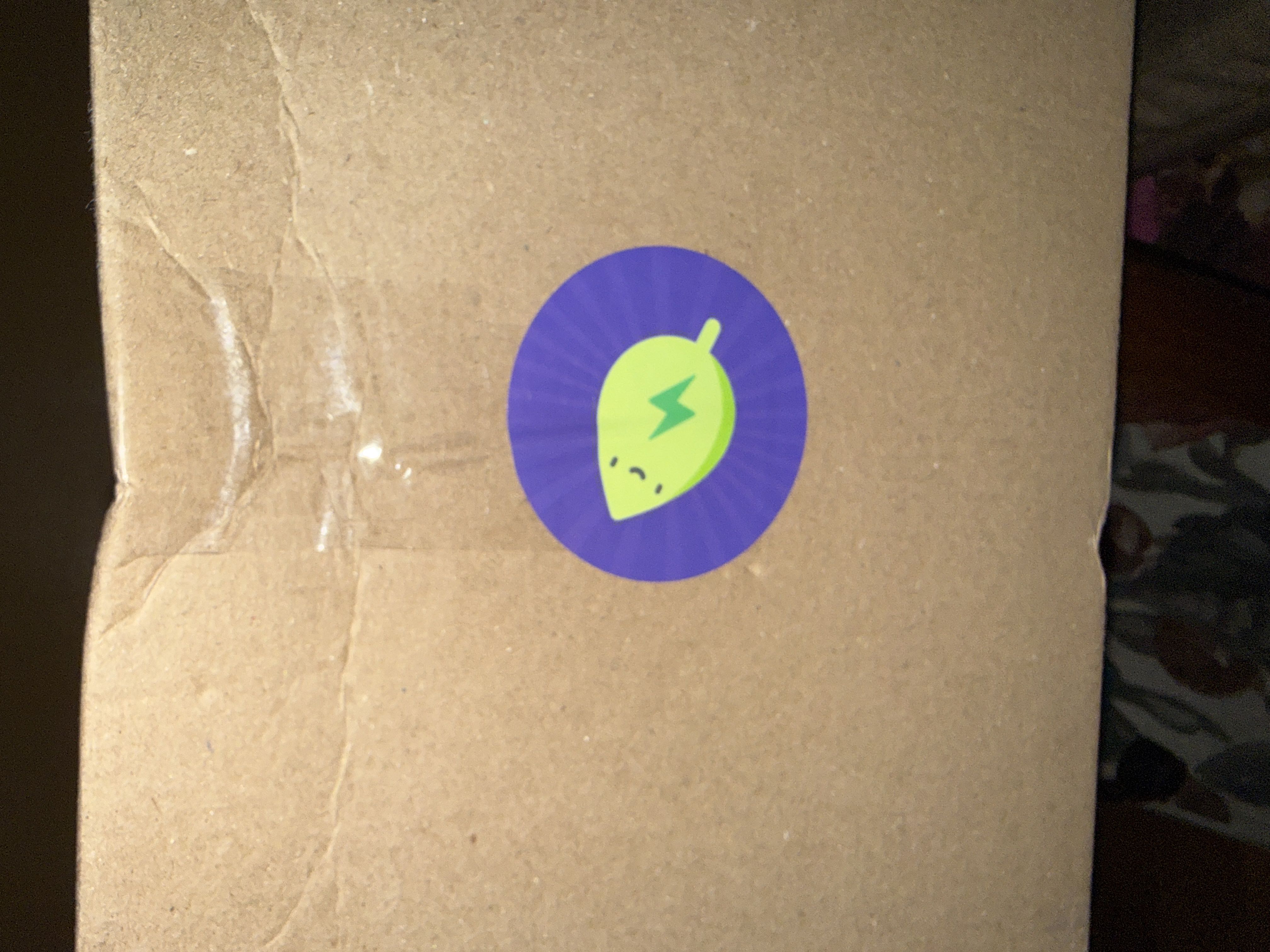 Photo from the post