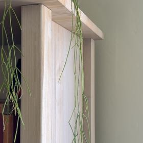 Photo of the plant species Rhipsalis baccifera by @FunnyBarley67 named Demi on Greg, the plant care app