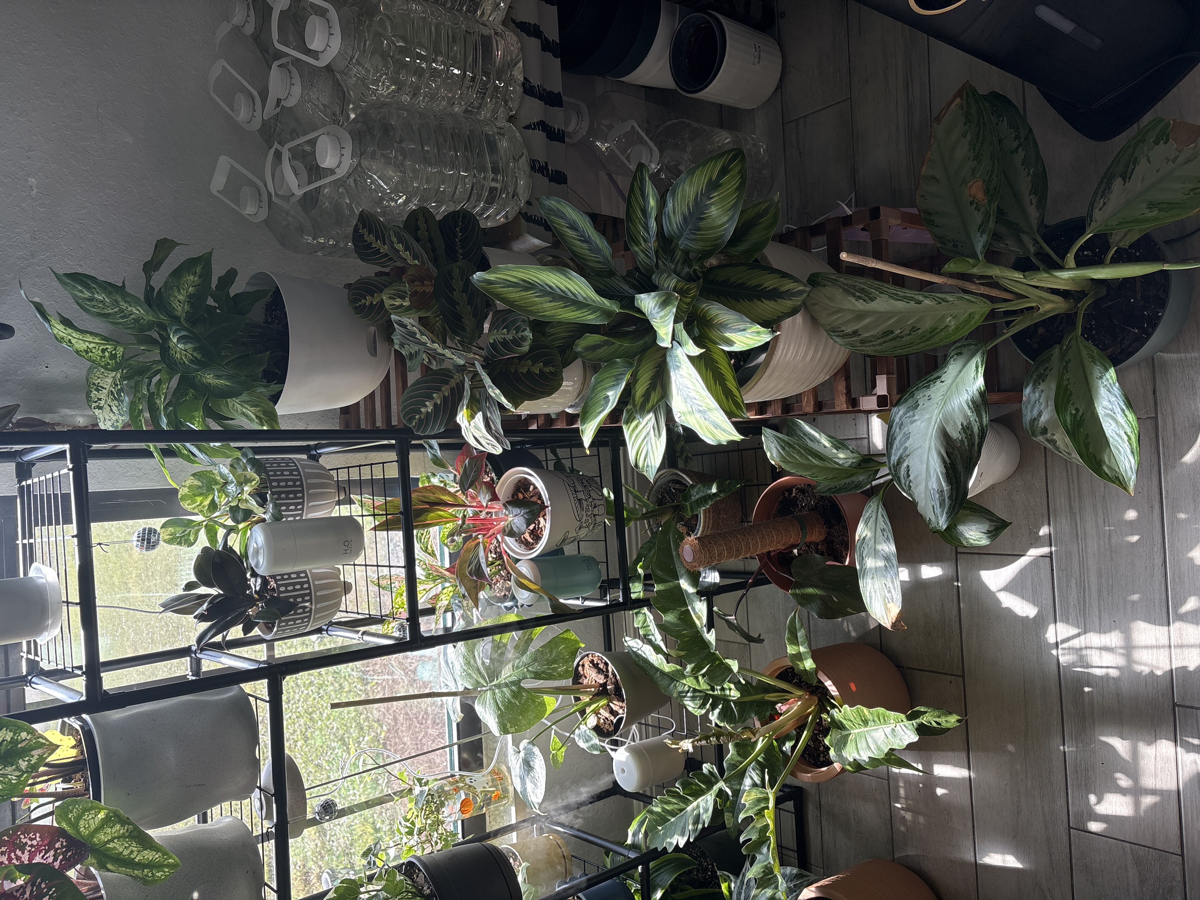 Photo from the post