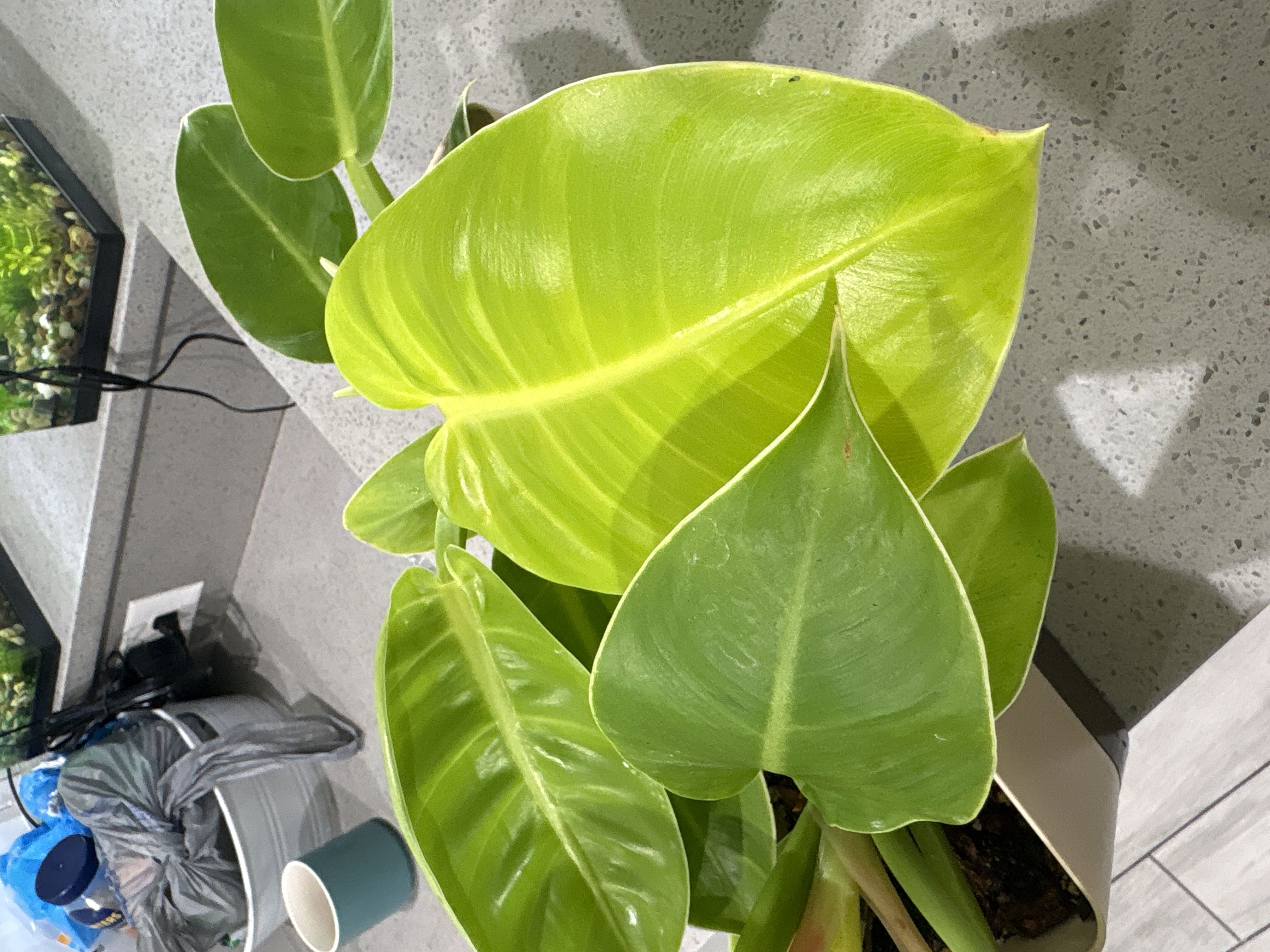 Photo from the post