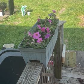 Photo of the plant species Petunia by @RealChia31 named Lebron on Greg, the plant care app