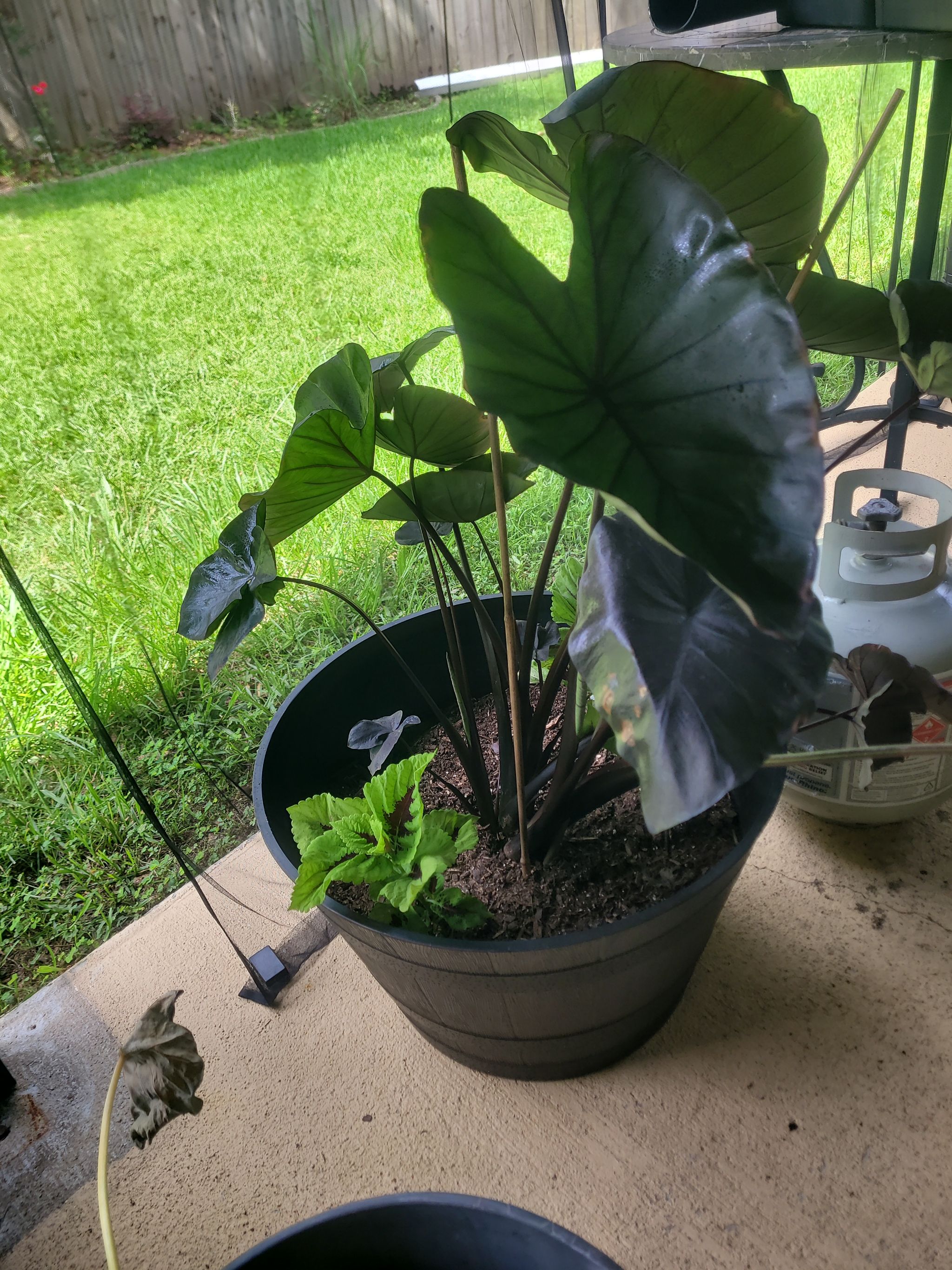 Photo from the post
