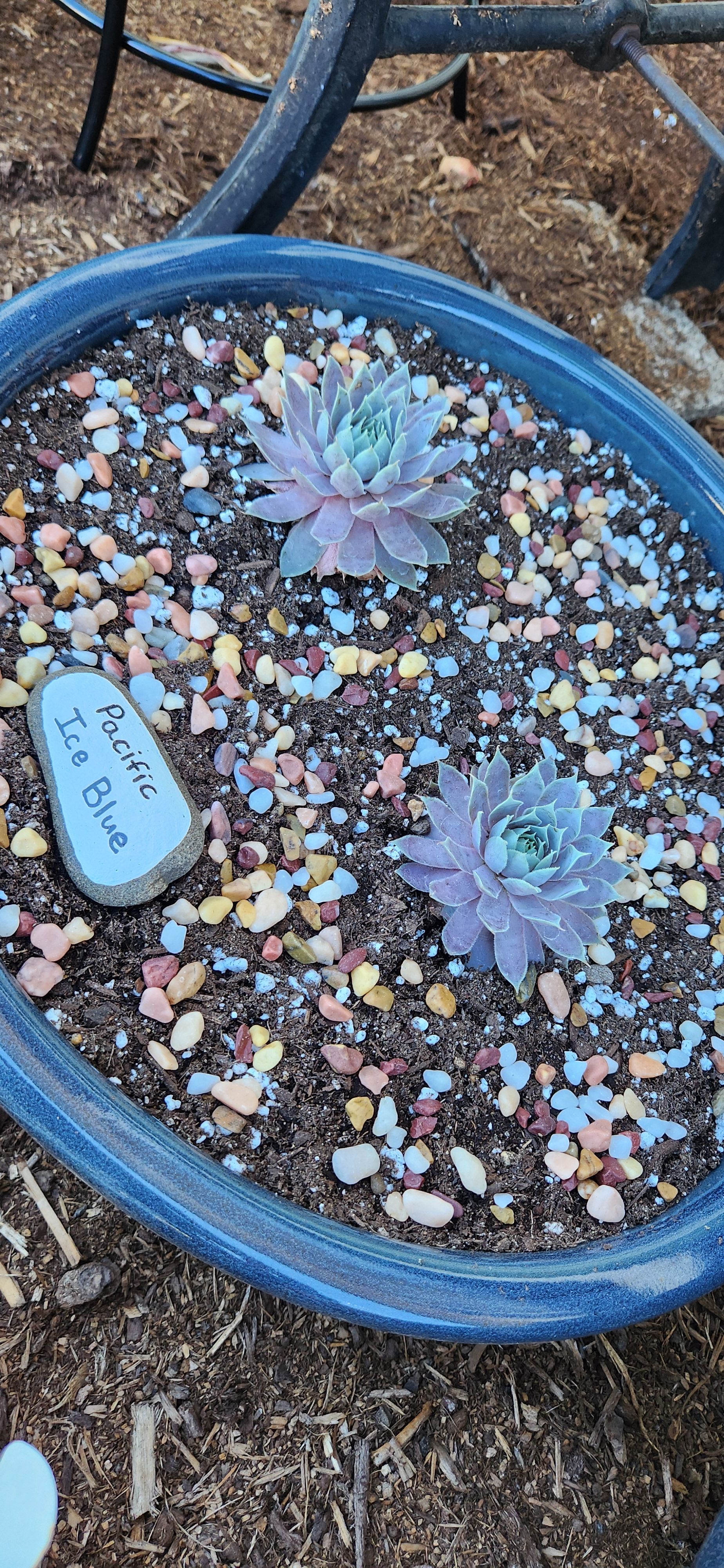 Photo from the post
