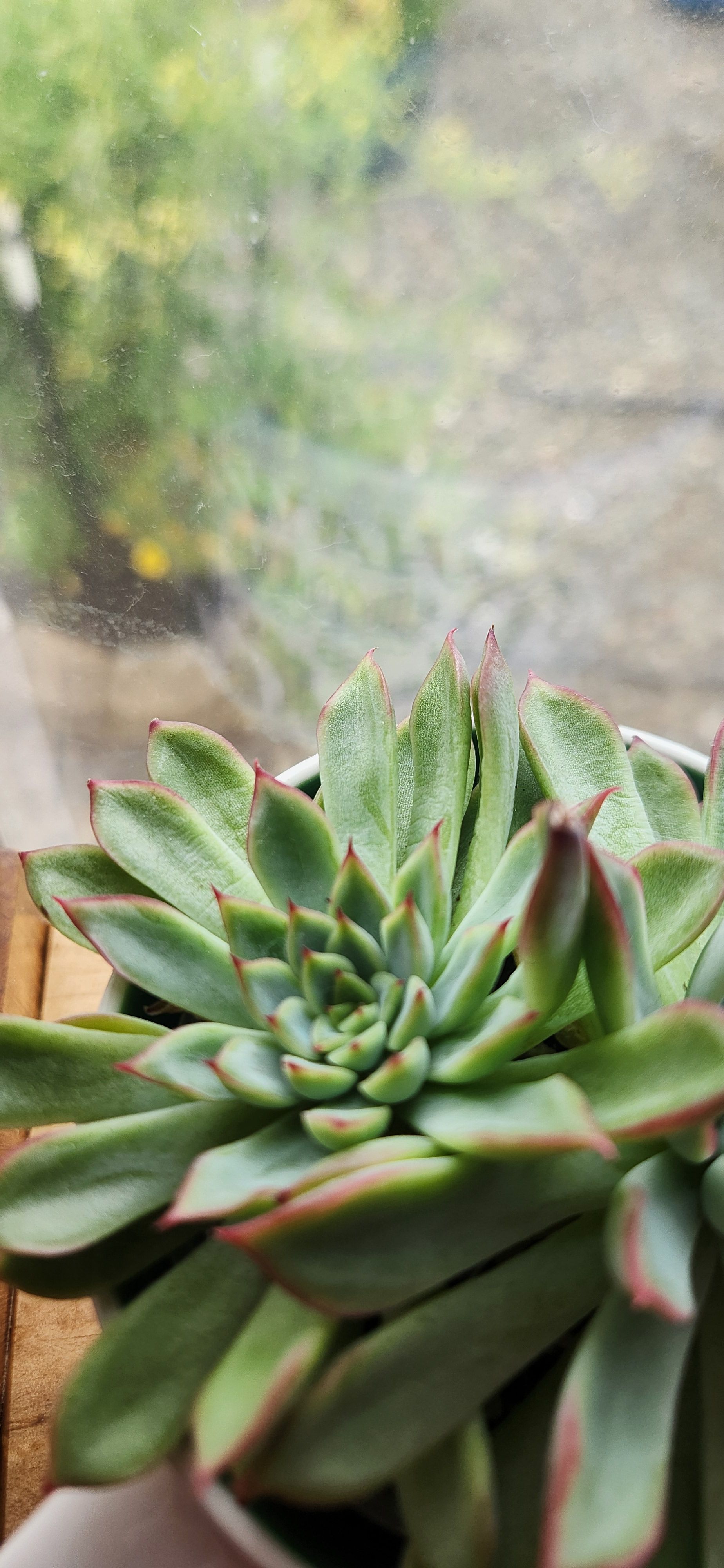 Photo from the post