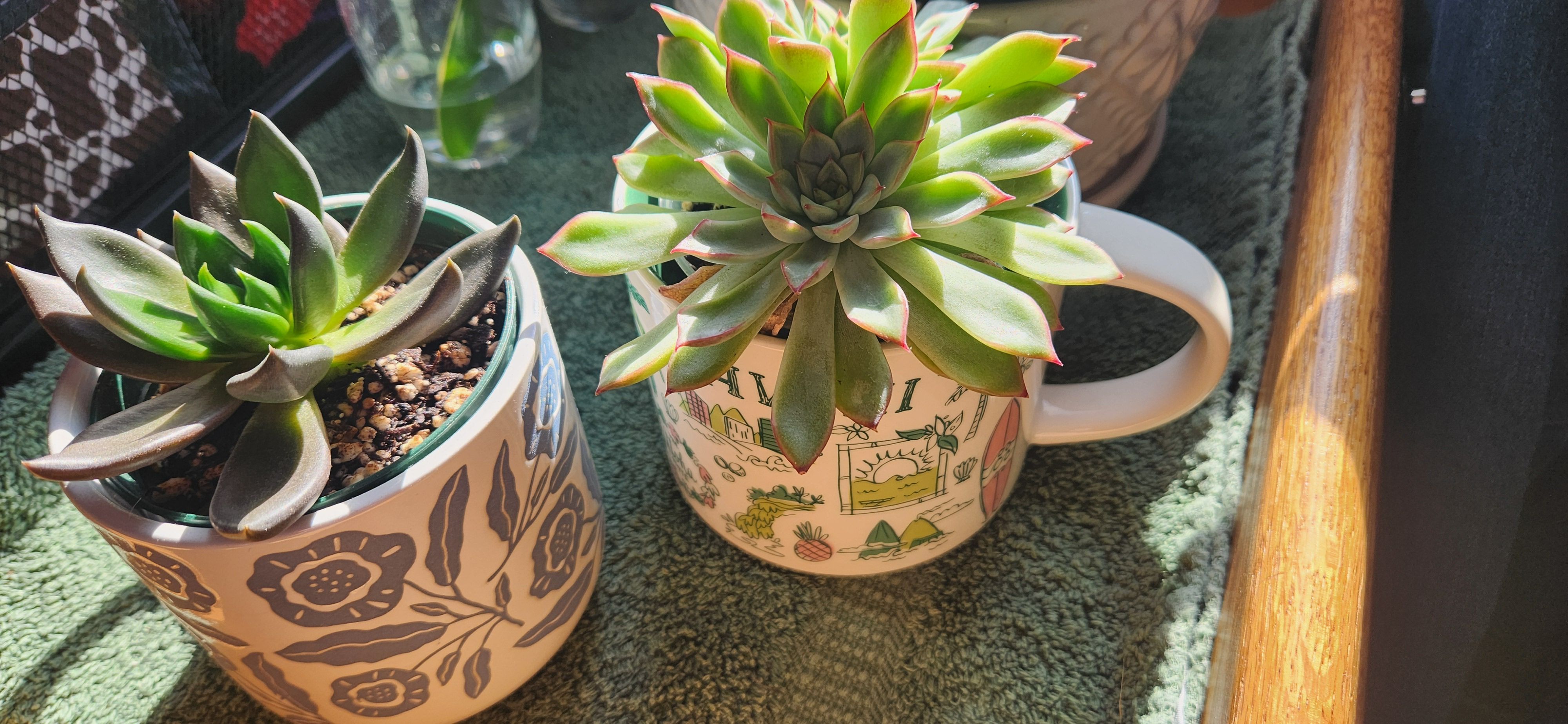 Photo from the post