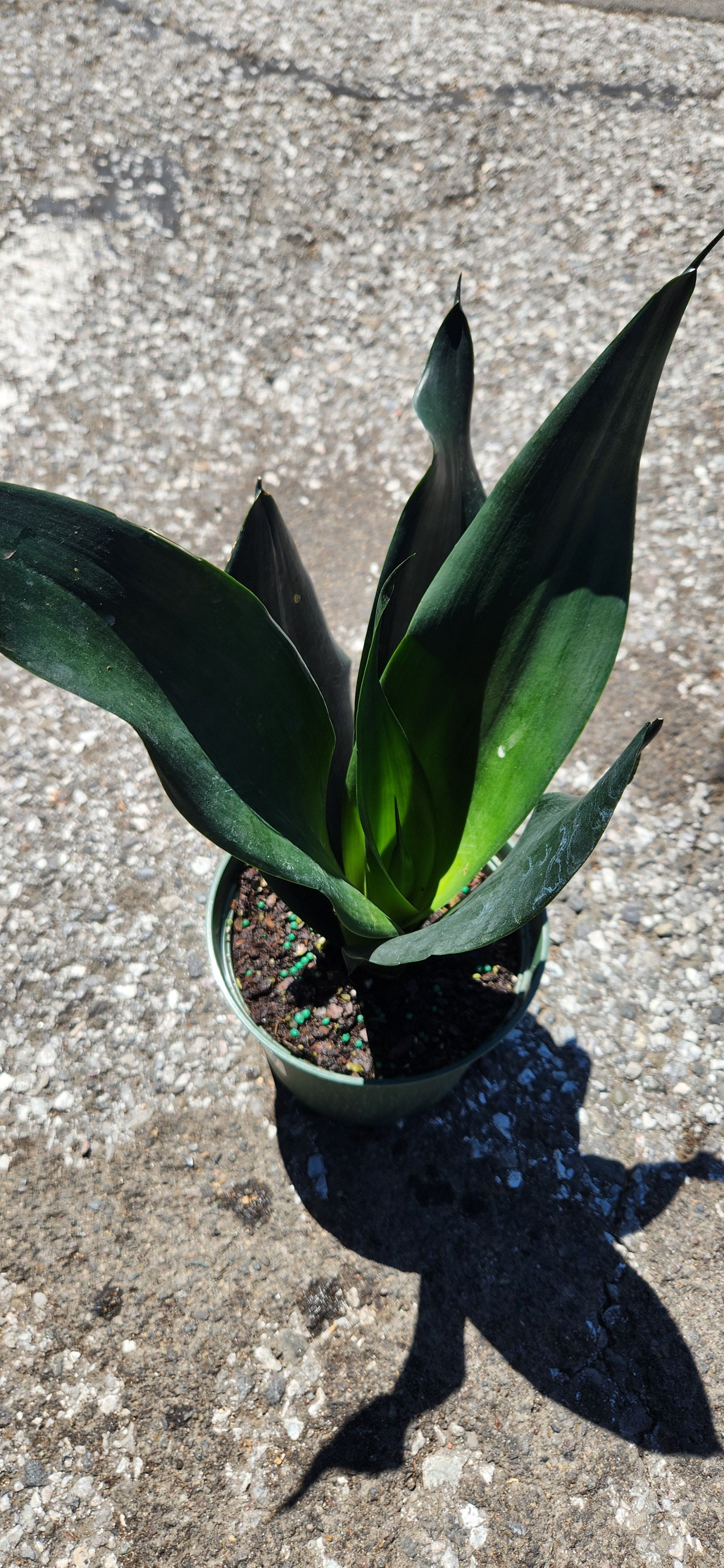 Photo from the post