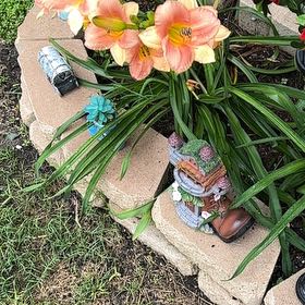 Photo of the plant species Ditch Lily by @NonpareilBetel3 named Aristotle on Greg, the plant care app