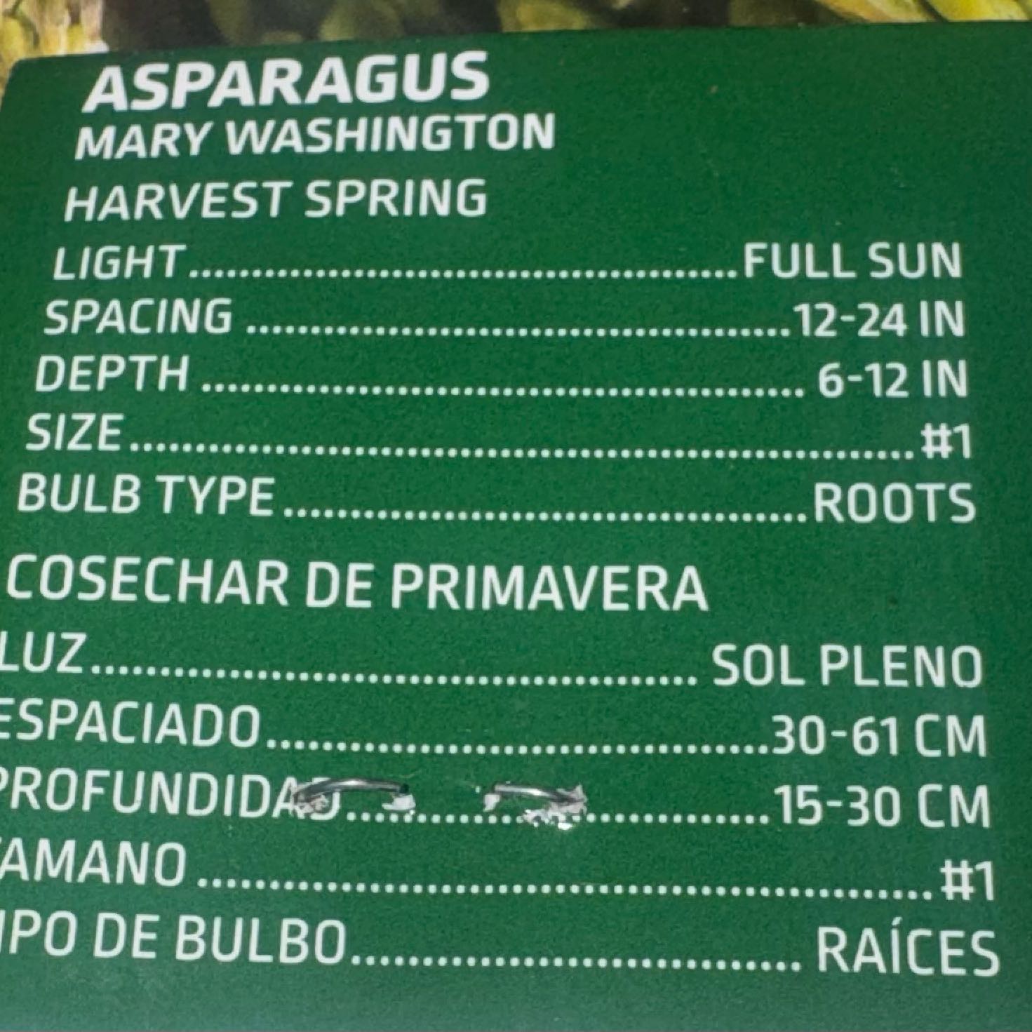 Photo of the plant species Garden Asparagus by @BackupGrapeivy1 named Mary Washington asparagus on Greg, the plant care app