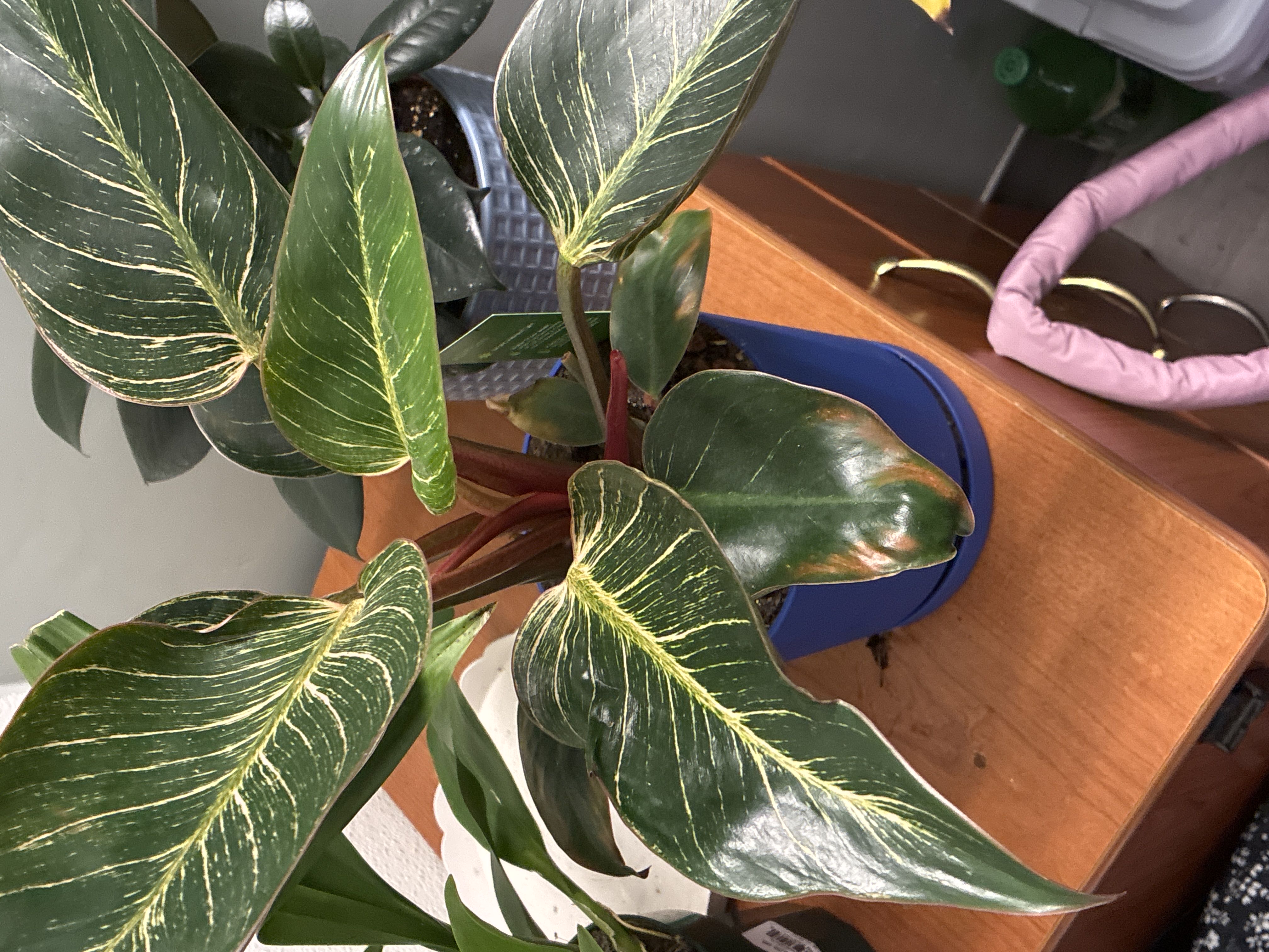 Photo from the post