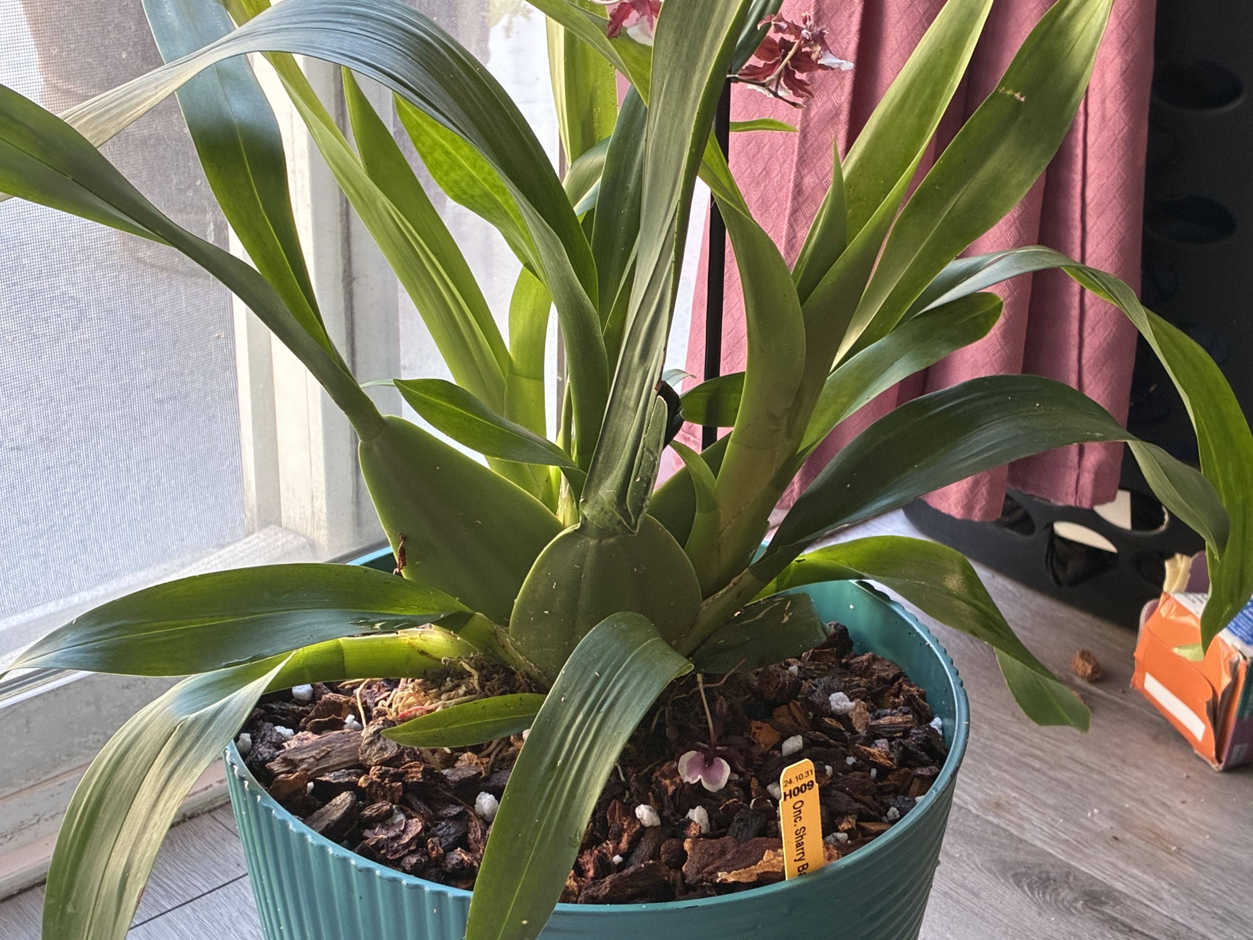 Photo from the post