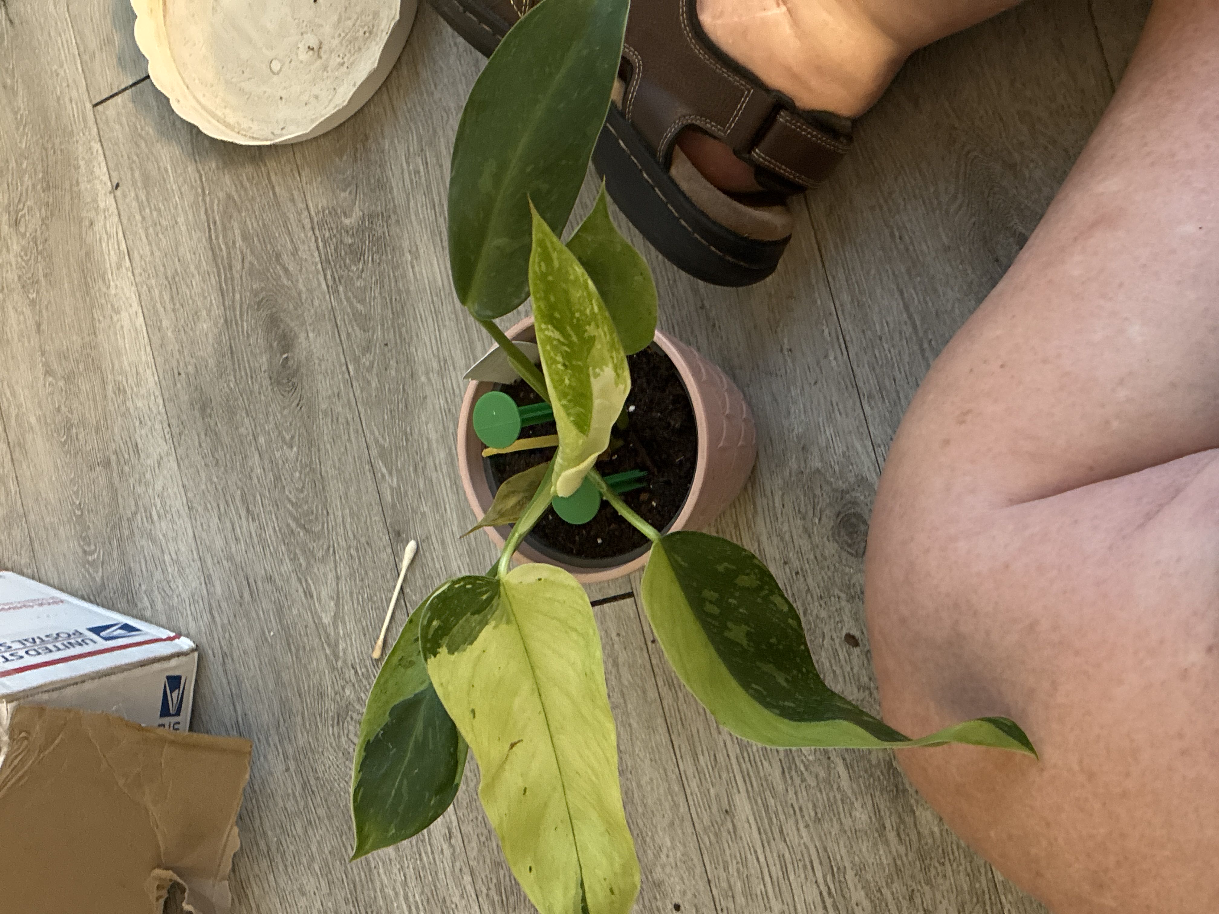 Photo from the post